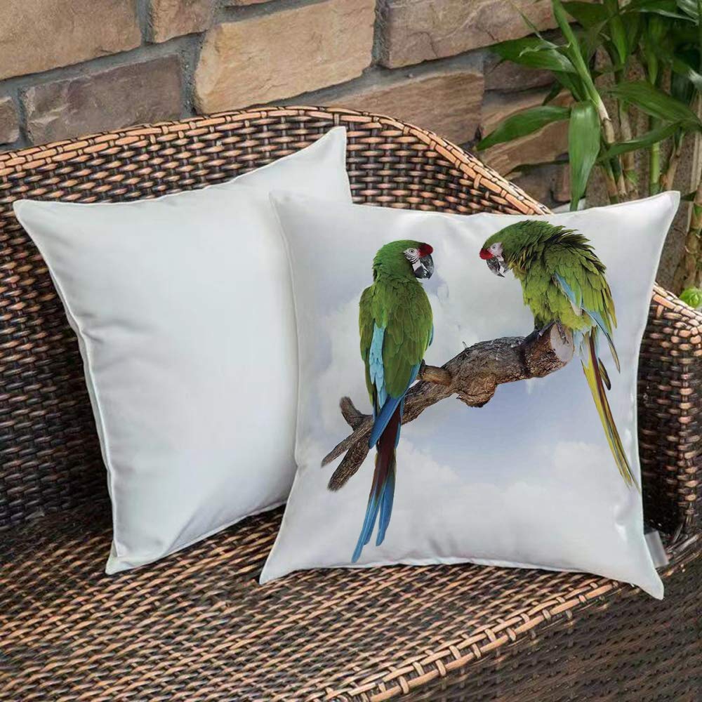 Bedding Soft Decorative Square Pillowcases Parrots Decor,Two Parrot Macaw on a Branch Talking Birds Gifted ClThrow Cushion Covers with Zipper - Sofa and Bed Pillowcases - 45 x 45 cm (18 x 18 inch)