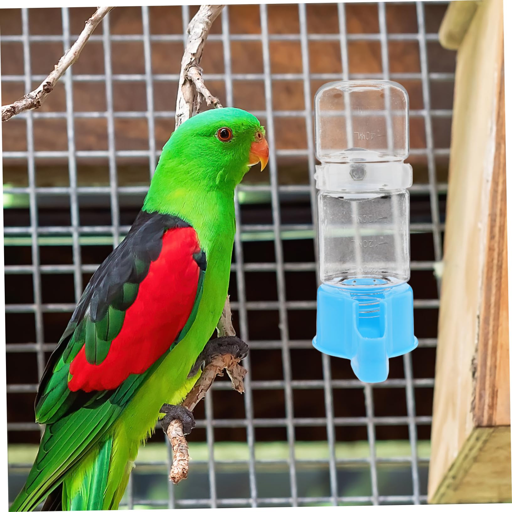 TOYANDONA Bebedero Automático Para Aves Dispensador De Agua Reutilizable Para Periquitos Y Aves Accesorio De Jaula Para Pájaros Sin Filtraciones Diseño Seguro Y 2 Piezas X 5