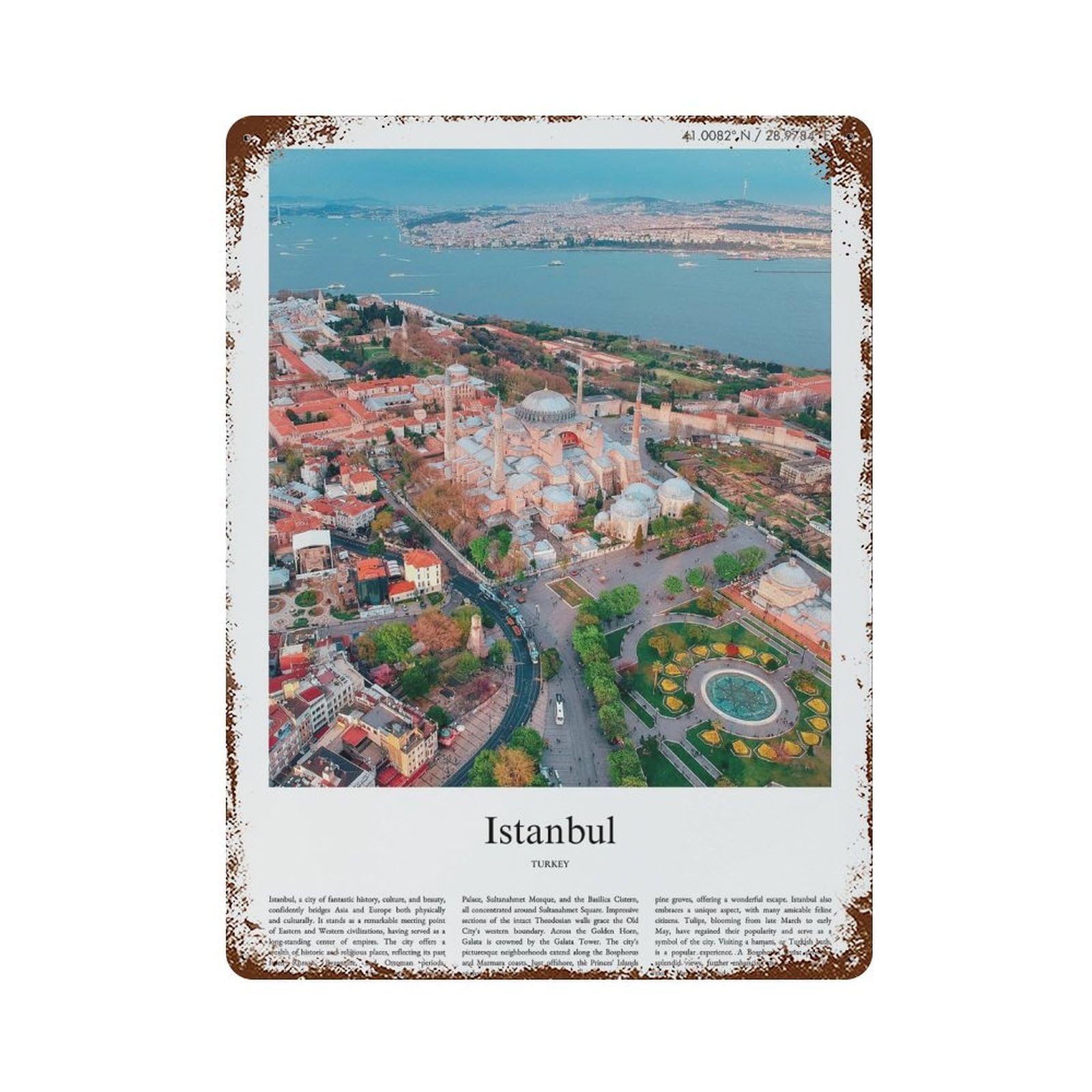 xiaoxiaoshen Istanbul Turkey City Scenery Wall Decor Art Metal Tin Poster Modern Home Decor Art Home Bar Shop Decorations Vintage Sign 40x30cm