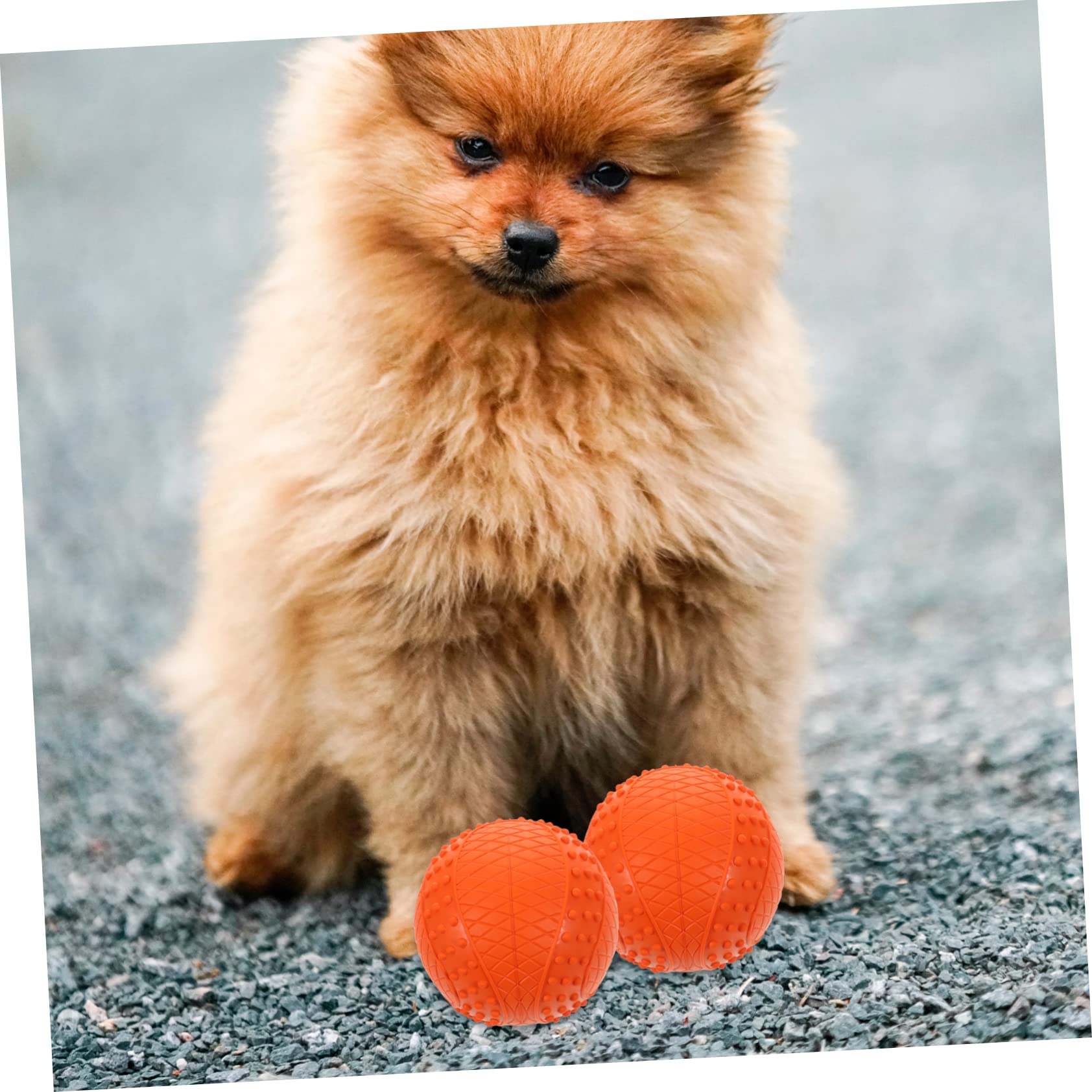 HEMOTON 4pezzi Palline per Cani di Gomma Resistente ai Morsi Giocattoli da Masticare Effetto Squittire Palline Galleggianti Piccole e Facili da Pulire per Cani