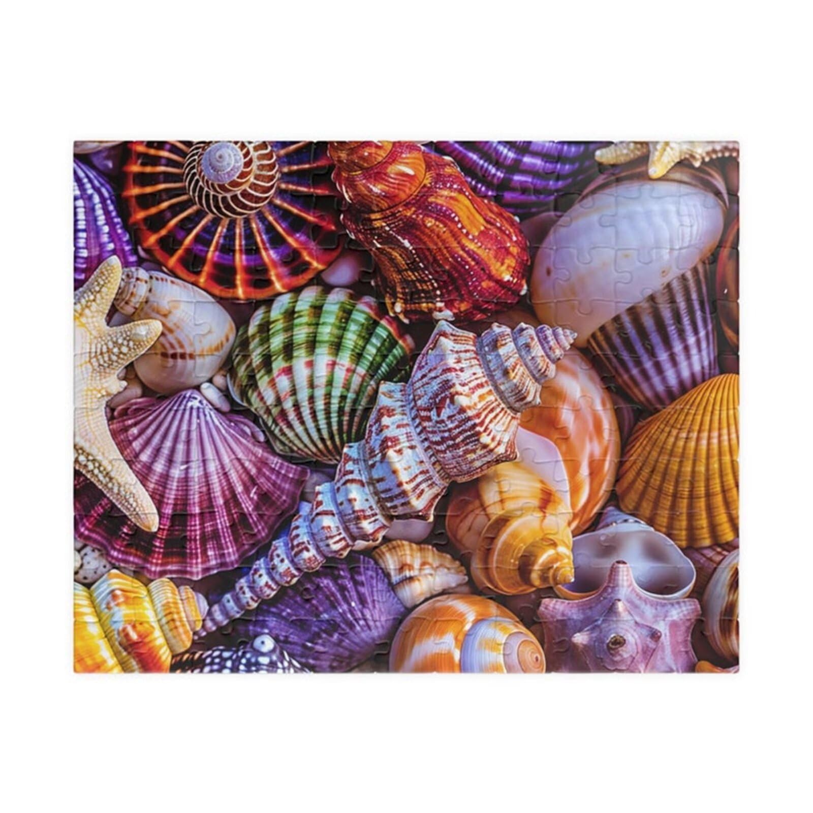 Puzzle 1000 Pieces Adultes Coquillage 75 x 50 cm Puzzle Adulte Jeu éducatif défi Jouet Puzzle Impossible 1000 Pièces Puzzles