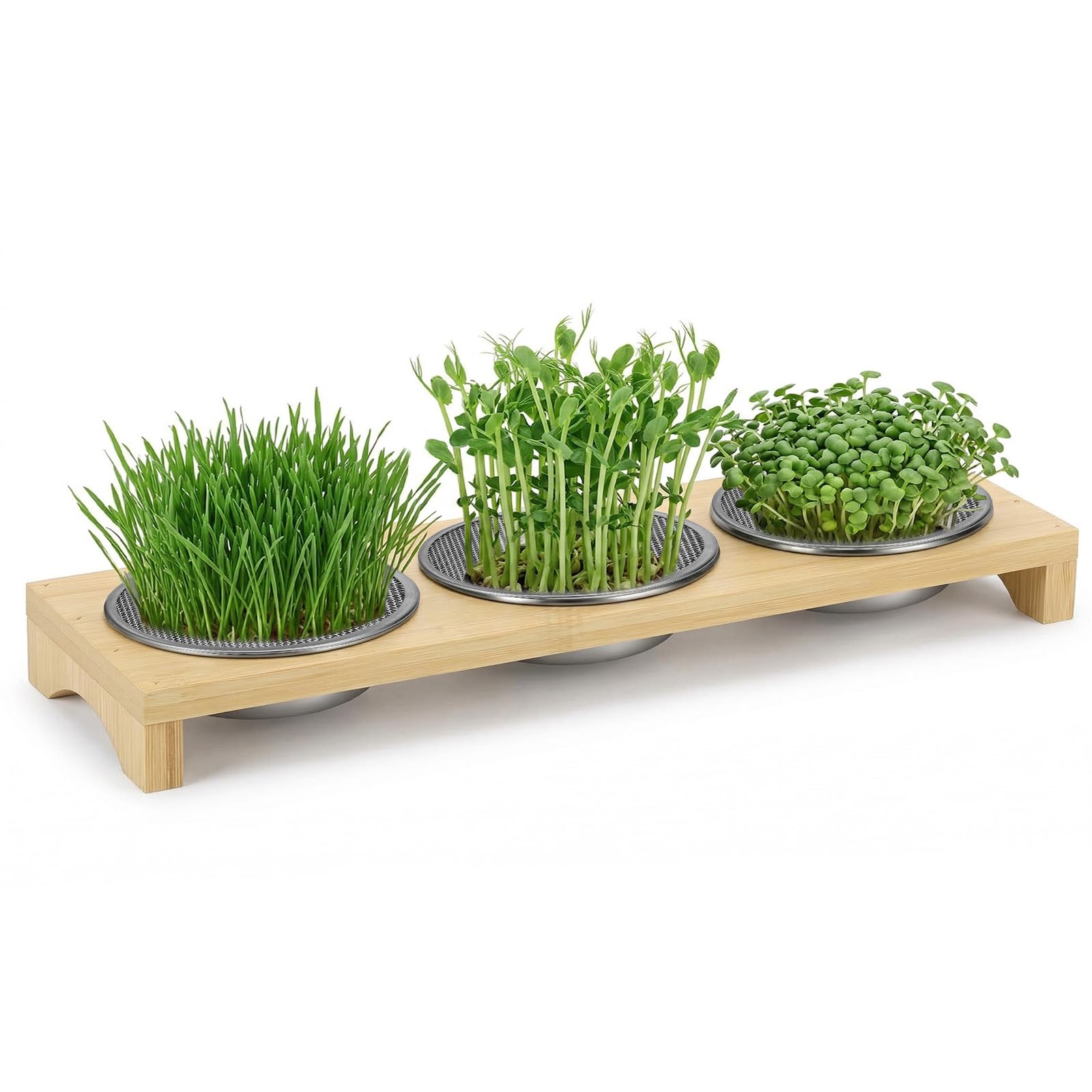 MICHIHOMIE Sprossen Anzuchtset mit 3 Edelstahl Kresse Anzuchtschalen, Microgreens Anzuchtschalen, Microgreens Starter Set für Kressesamen, Sprossen, Brunnenkresse