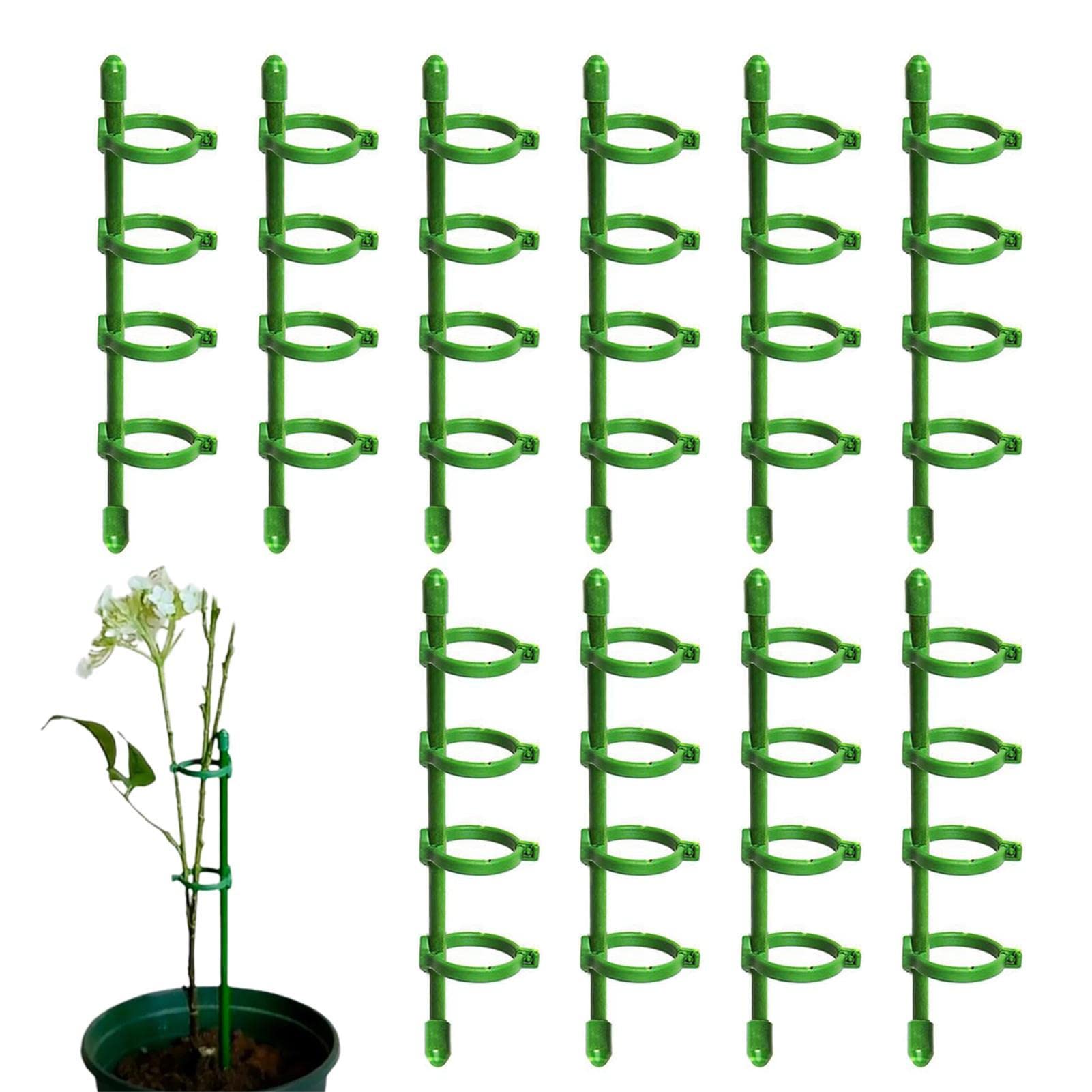 30 Picchetti Per Piante Da Interno 3 Dimensioni: Supporti A Stelo Singolo Per Orchidee, Rose, Phalaenopsis, 17/27/37 Cm - 2