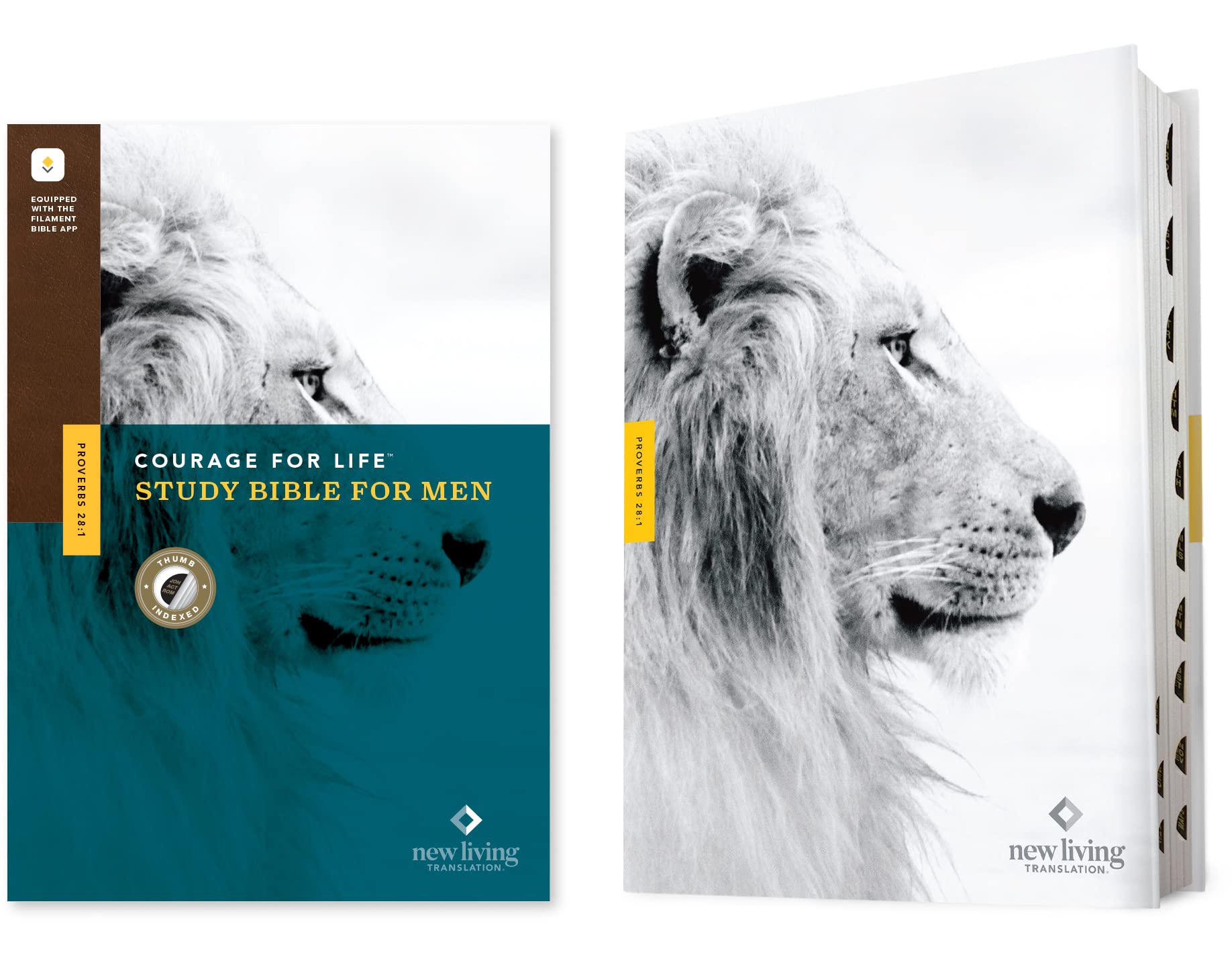 NLT Courage for Life Study Bible for Men, Filament-Enabled Edition (Hardcover, Indexed): New Living Translation, Filament Enabled
