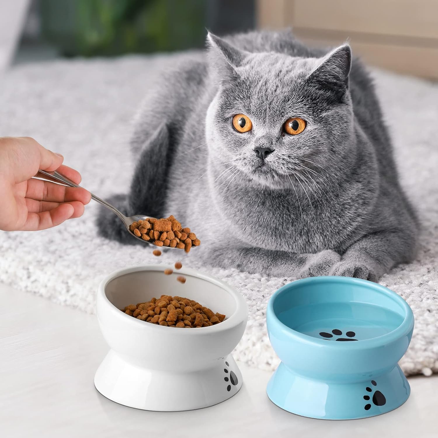 Nucookery Elevated Cat Food Water Bowls Set,Ceramic Raised Tilted Cat Bowls for Small Dog Fat Faced Cat Kitten,Anti Vomiting Bowl Inward-Curved No Spill No Mess(2pack,White+Lake Blue)