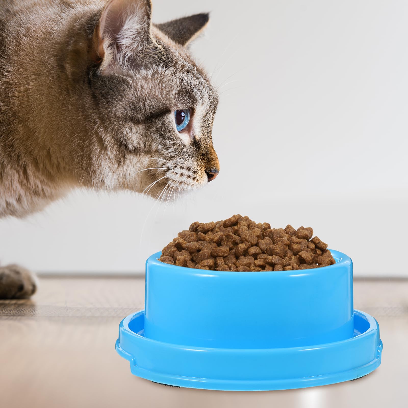 iplusmile Mangiatoia antiformiche – 3 ciotole per cani e gatti con gomma antiscivolo, ciotola per cani e gatti e anti trabocco, 18 x 7 cm