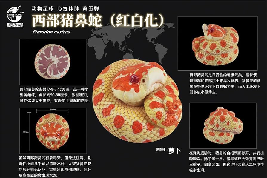 Amazon | 動物惑星 アニマル惑星 第5弾 ガチャガチャ ブラインド