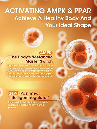 Miniatura 3 de GREENPEOPLE Berberina liposomal HCL1300mg - Suplemento de berberina con canela de Ceilán activa AMPK - Fórmula de alta absorción Soporte de peso