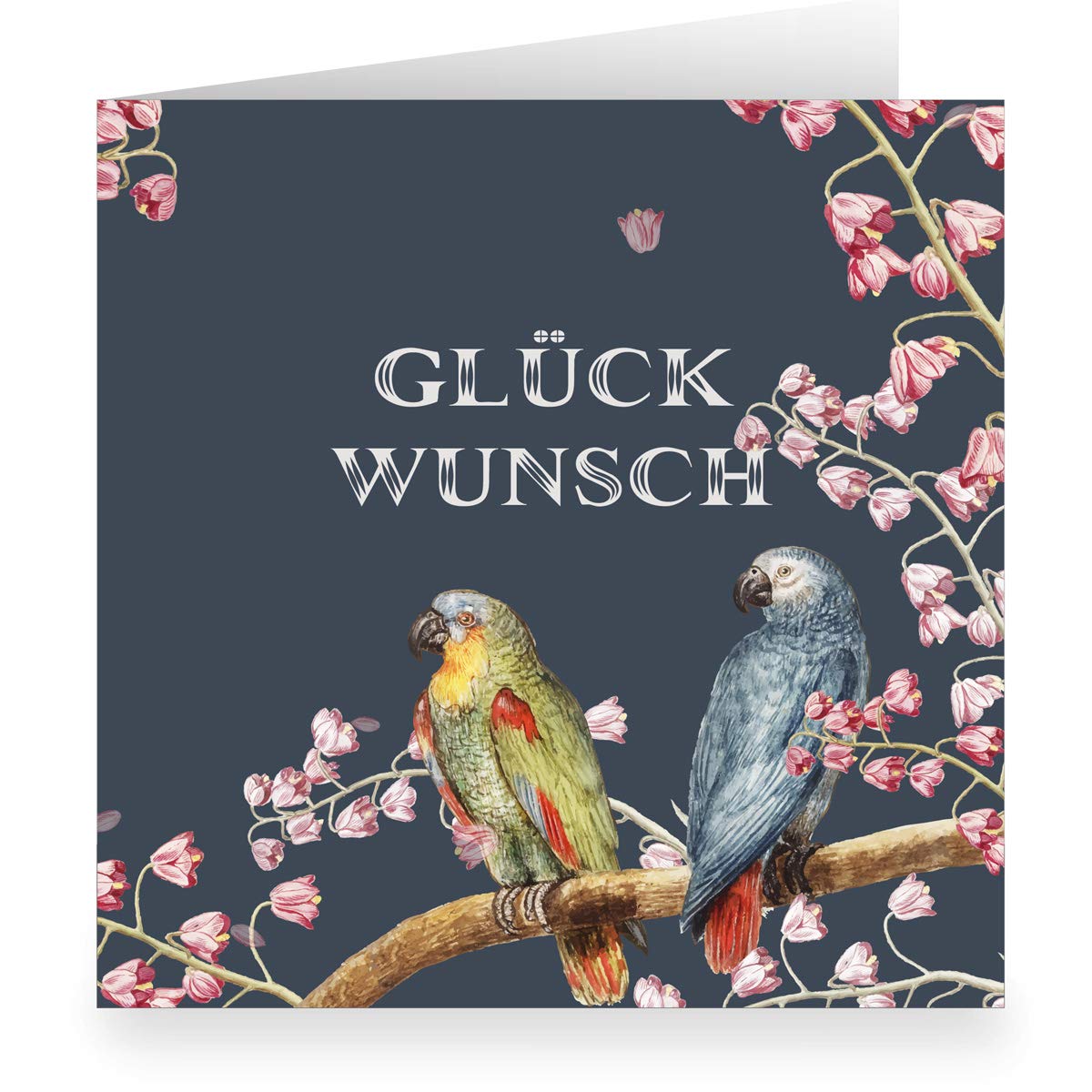 Kartenkaufrausch 12 x Feine blaue Vintage Glückwunsch-karte (quadratisch, 15,5x15,5cm inkl Umschlag) mit Vintage Papageien: Glückwunsch - große XL Karte zur Geburt, Hochzeit, Examen & Geburtstag