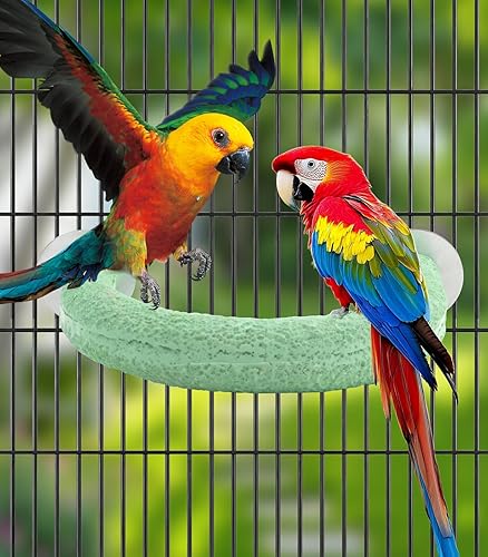 NGOKPYD U Shape Parrot Perch Cage for 4cm Large Pad Fits Horizontal Vertical Bars Washable Bird perches Washable Colorfast Resin Perch for Budgies, Cockatiels to Trim Nails Beak Naturally (Green)