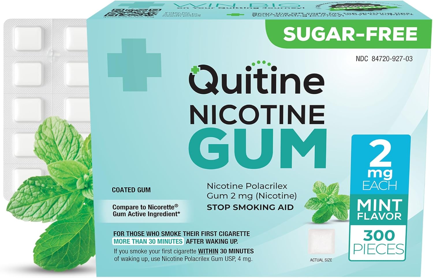Quitine Nicotine Gum 2mg, Mint Flavor, Stop Smoking Aid – Affordable NRT to Relieve Cravings | Quick-Burst Flavor that Fades Within 1 Minute, 300 Count, Classic Gum to Support Your Quit Journey