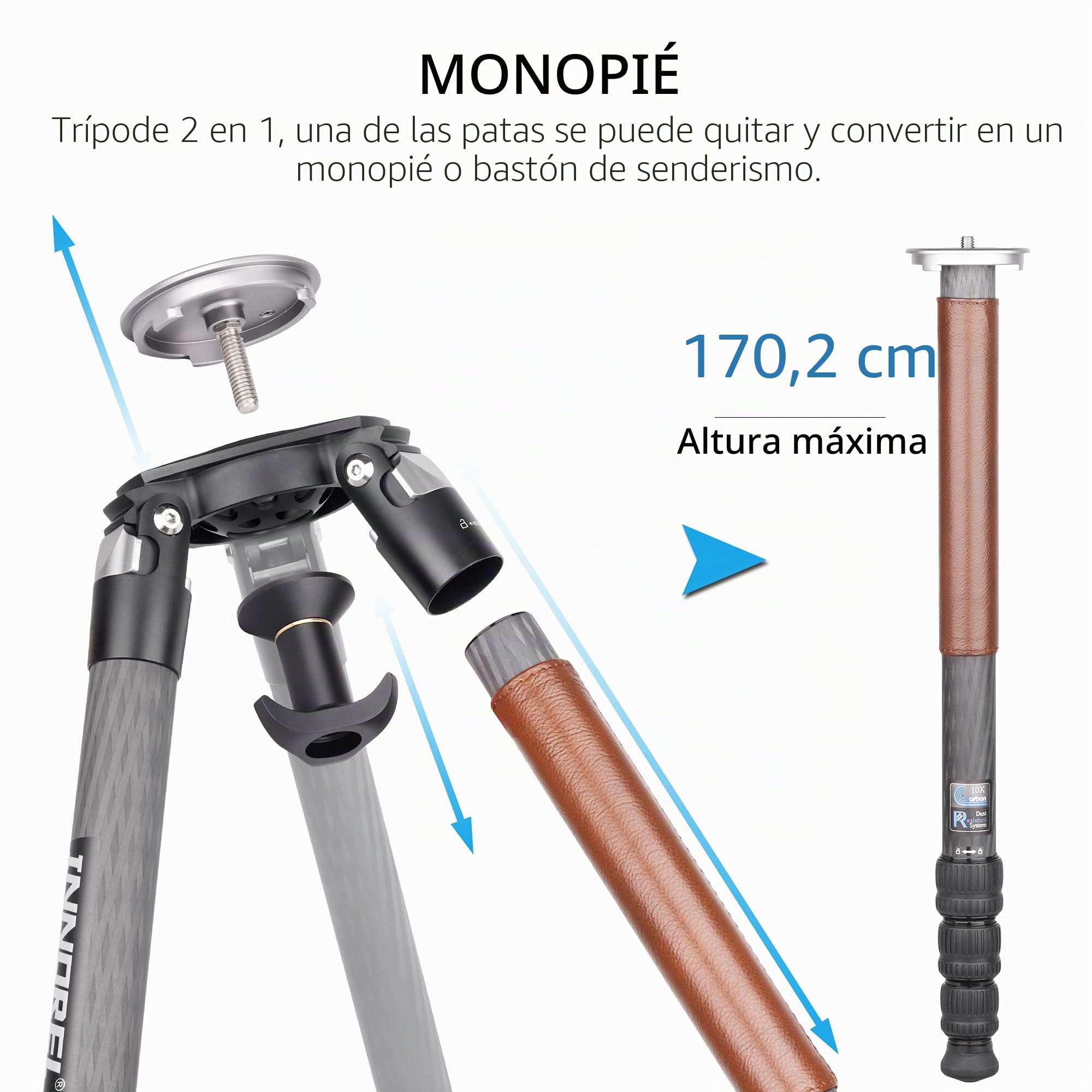 Trípode de Fibra de Carbono de 4 Secciones, INNOREL ST344C 160cm Trípode Profesional para Cámara, Accesorios de Fotografía, con 75 mm de Adaptador, Tubo Máximo 34mm, Carga máxima de 35 kg