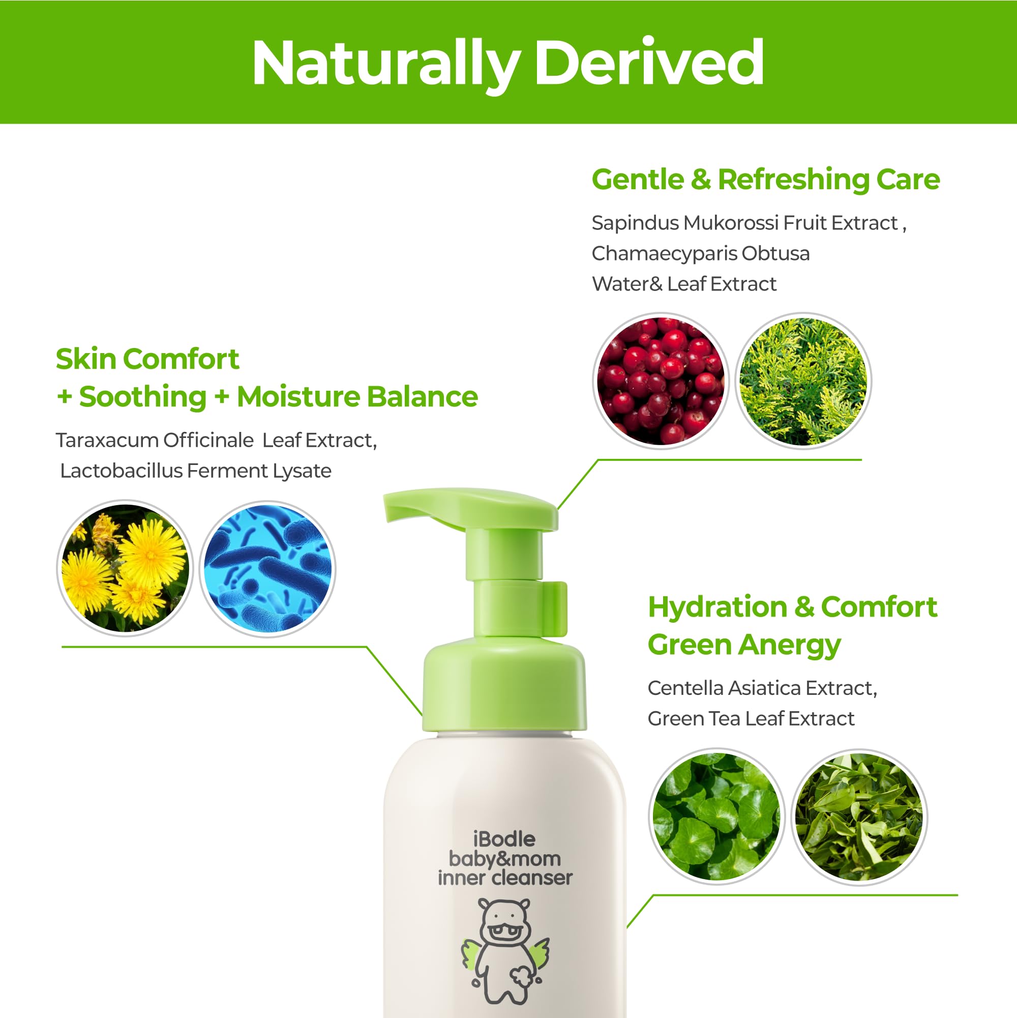 Baby & Mom Intimate Wash – Gentle Antibacterial Cleanser for Delicate Areas, pH-Balanced, Deodorizing, Soothing Foam Care for Sensitive Skin, 8.45 fl oz