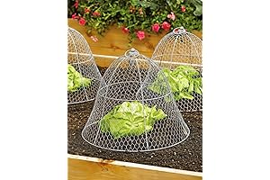 Gardener's Supply Company Sturdy Chicken Wire Cloche Plant Protector & Cover