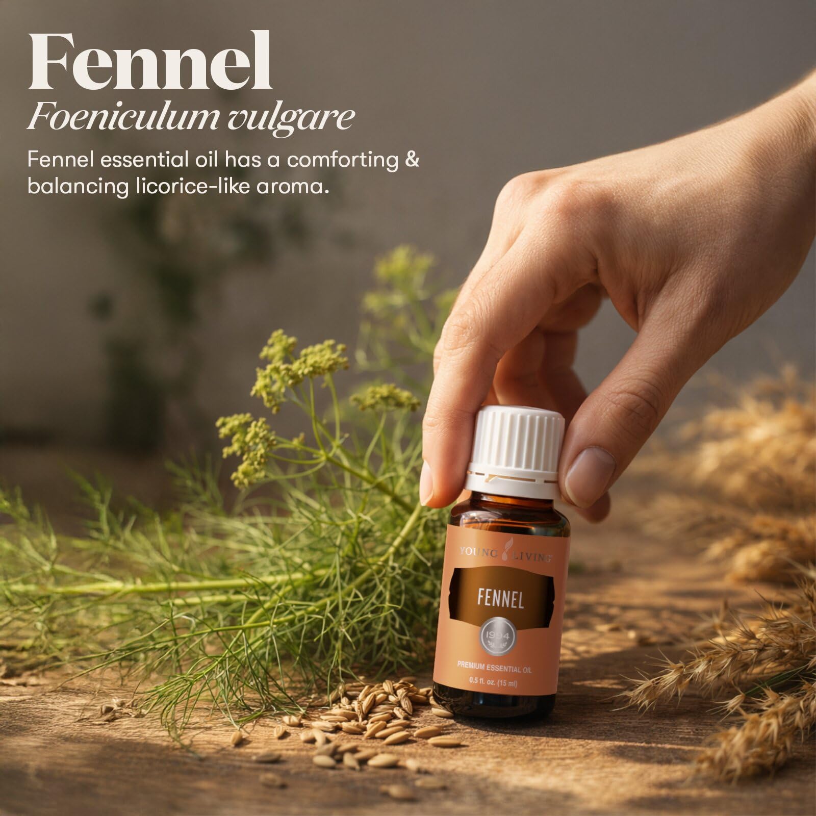 Amazon.com: Young Living Fennel Essential Oil | 15 ml | Sweet