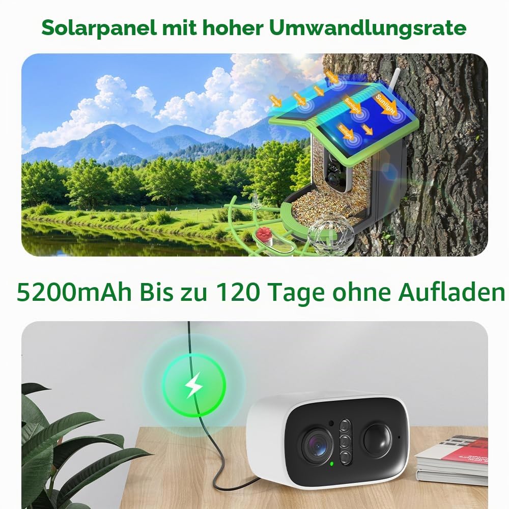 Vogelfutterhaus mit Kamera, Vogelhaus mit 4MP Kamera, Vogelfutterspender Garten, Vogelfutterstation mit Video/Fotoaufnahme, KI Identifizierung, Bewegungserkennung, Alarm, Nachtsicht, IP65 Wasserdicht