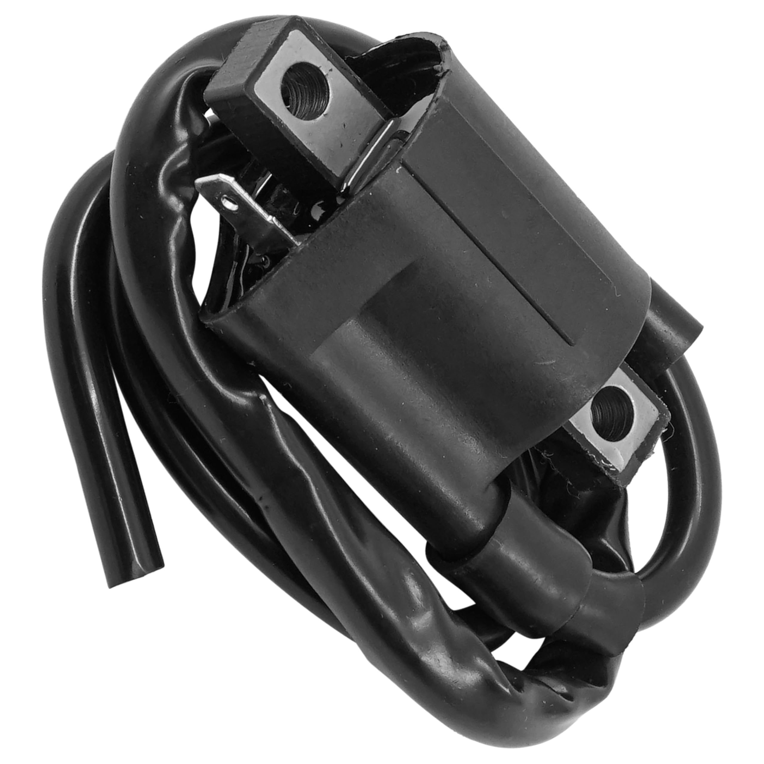 Amazon.com: Caltric Ignition Coil Compatible With Polaris Xplorer