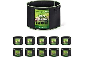 10 Gallon Planters for Abundant Plant Growth