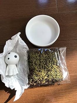 Amazon.co.jp: ジブリパーク限定 もののけ コダマ 苔鑑賞セット