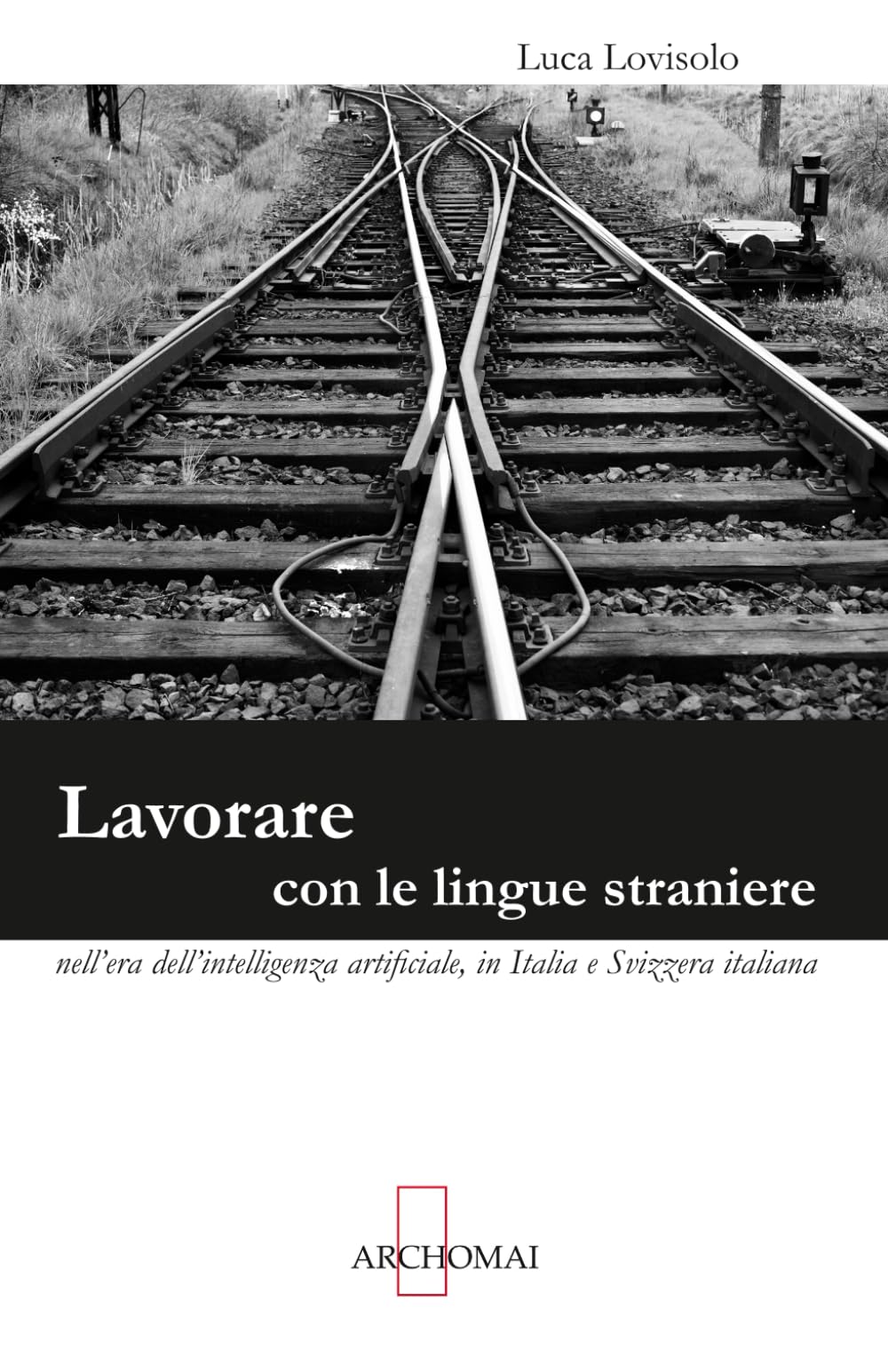 Lavorare con le lingue straniere nell'era dell'intelligenza artificiale: In Italia e Svizzera italiana (Manuali per traduttori)