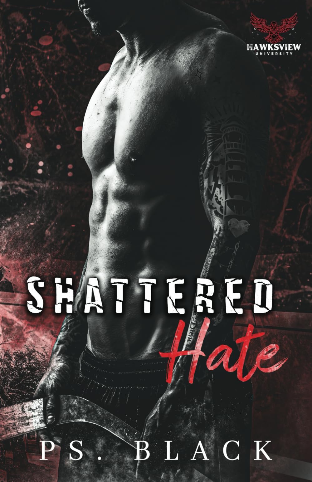 Shattered Hate: Enemies to Lovers MM Romance (Hawksview U)