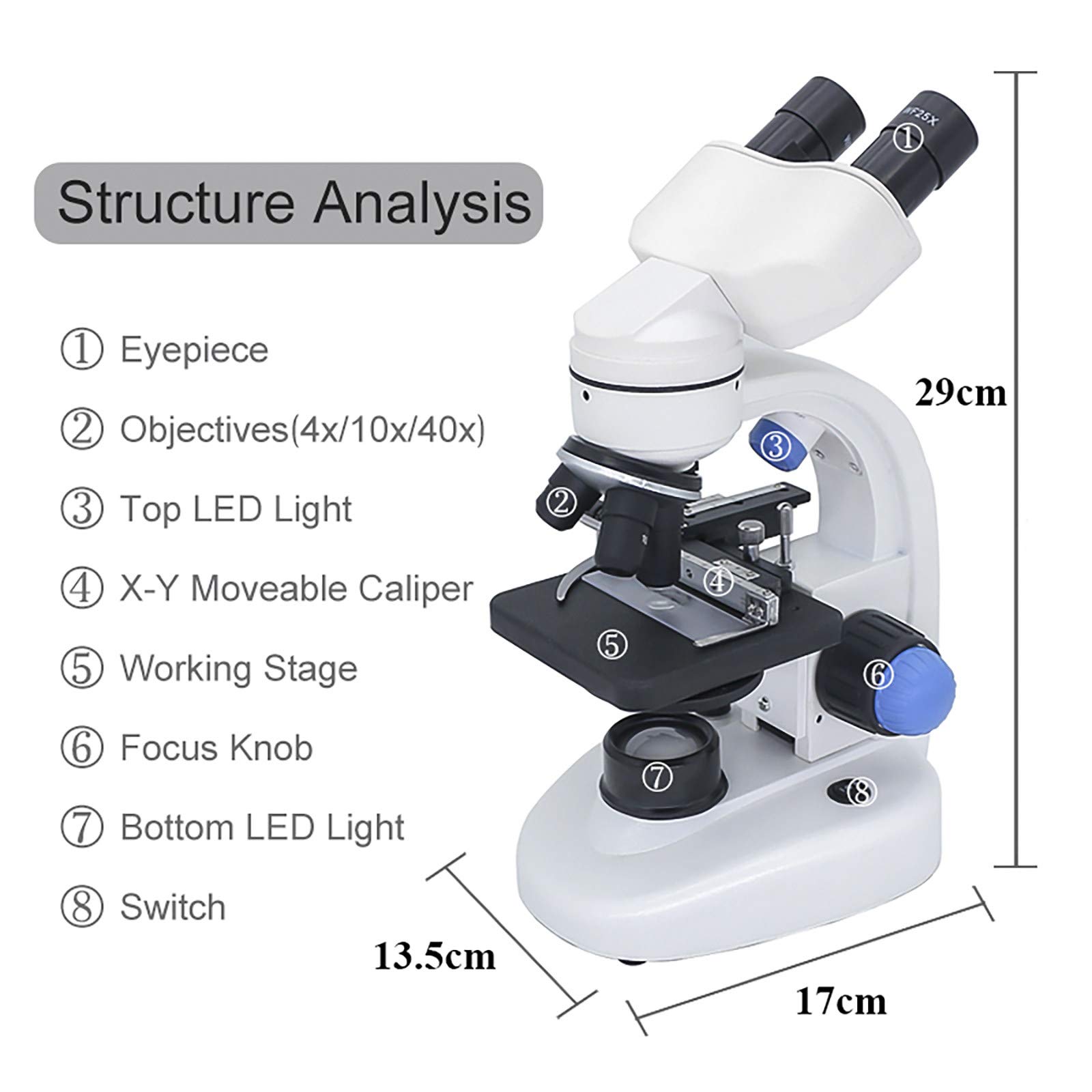 QUNINE Microscopio Biologico binoculare 40-1000X Microscopio Digitale per Fotocamera USB da 2.0Mp Microscopio Digitale da 100 Pezzi Campione Studente Laboratorio Esperimento Biologico