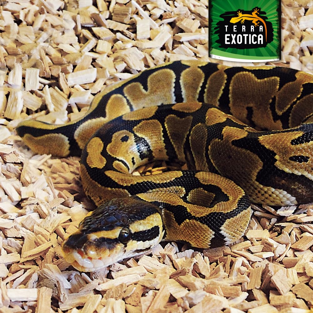 Buchenspäne fein als Einstreu für Ihr Terrarium in 10, 20 oder 60 Liter - Natürliches Buchenspan geeignet für Reptilien, Vögel und Kleinsäuger (60 Liter)