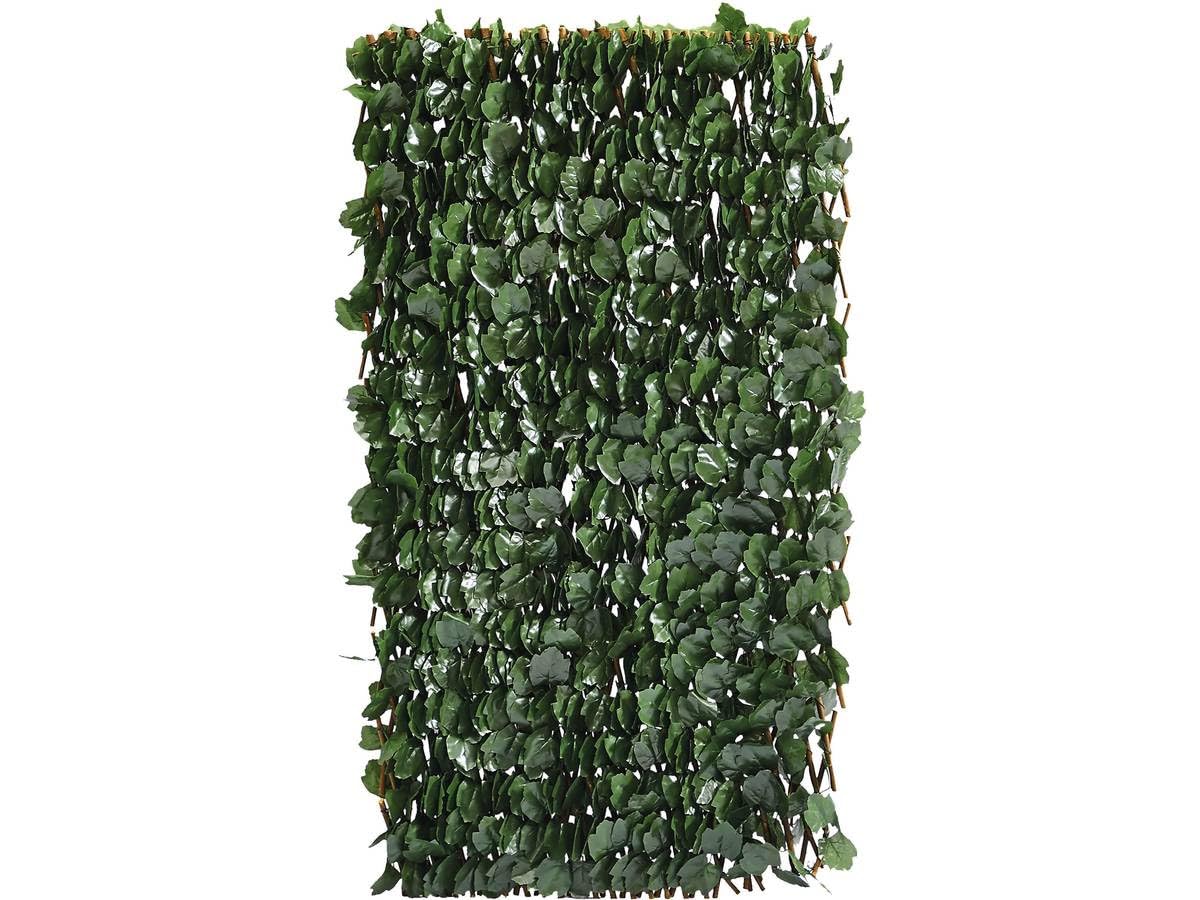 Clôture en treillis de saule "​Fragon" - 200 x 100 cm - Vert