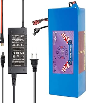 ‌48V 10Ah Lithium Battery for E-Bike & Scooter - 200-1200W Compatible with 30A BMS, T-Plug Connector & 2A Charger Included (48V10Ah&Charger)