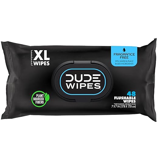DUDE Wipes - Flushable Wipes Stocking Stuffers - 1 Pack, 48 Wipes - Unscented Extra-Large Adult Wet Wipes - Vitamin-E & Aloe for at-Home Use - Septic and Sewer Safe
