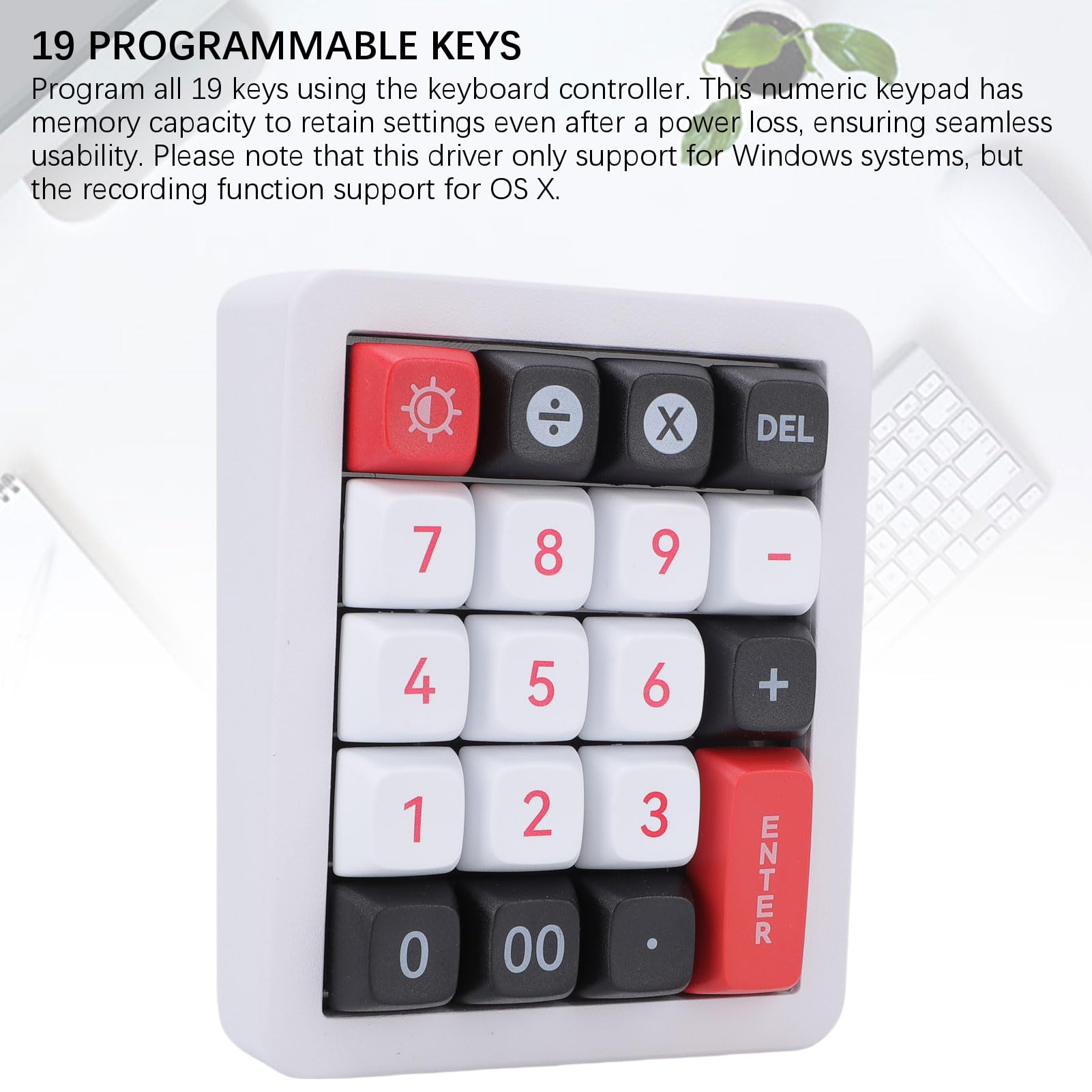 Sxhlseller Pavé Numérique Mécanique, Clavier Numérique rétroéclairé RVB Programmable à 19 Touches avec Câble USB C et Commutateurs Rouges, pour Saisie de Données de comptabilité pour (White)