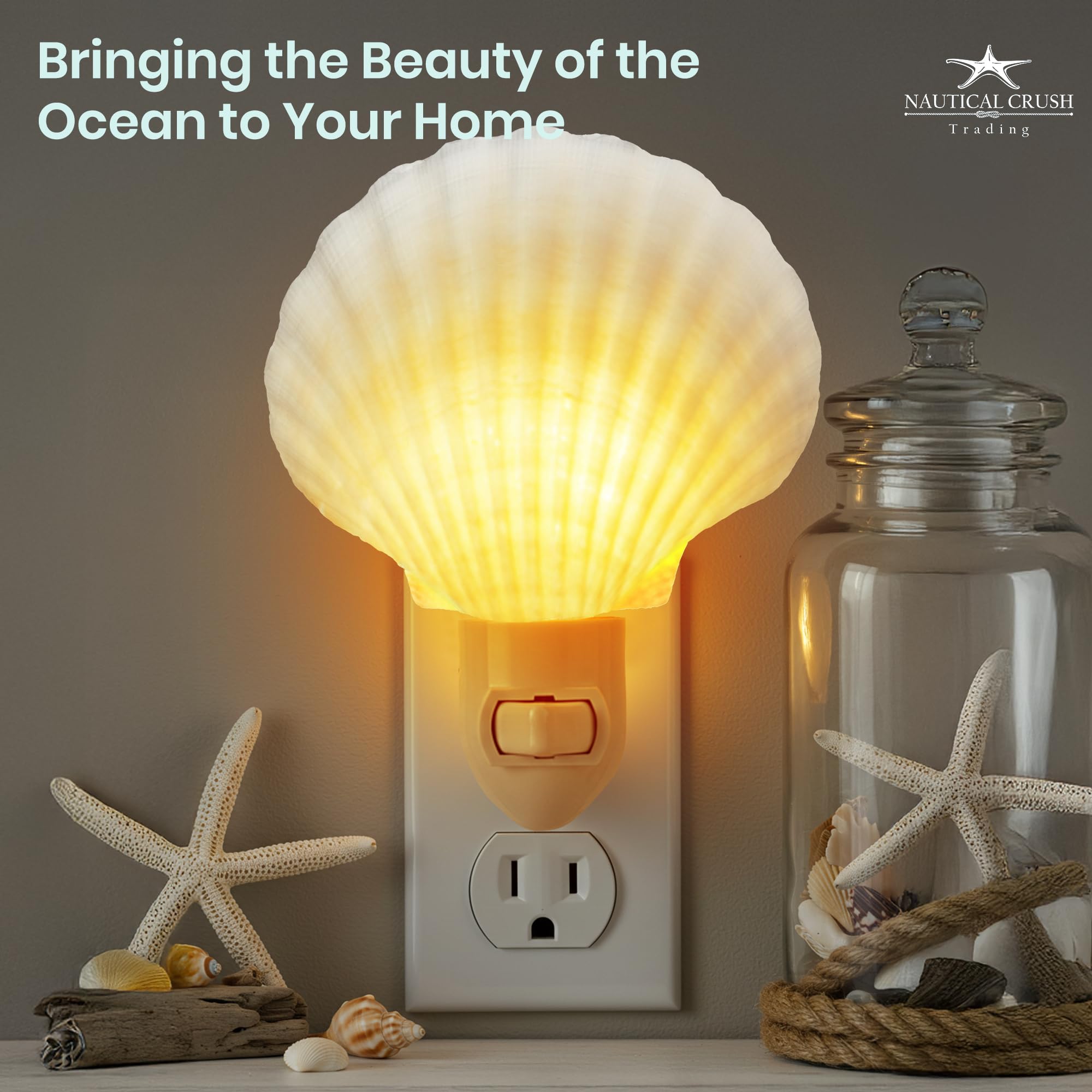 Nautical Crush Trading Seashell Night Light – Beach Night Light Nautical Crush Trading Seashell Night Light – Beach Night Light