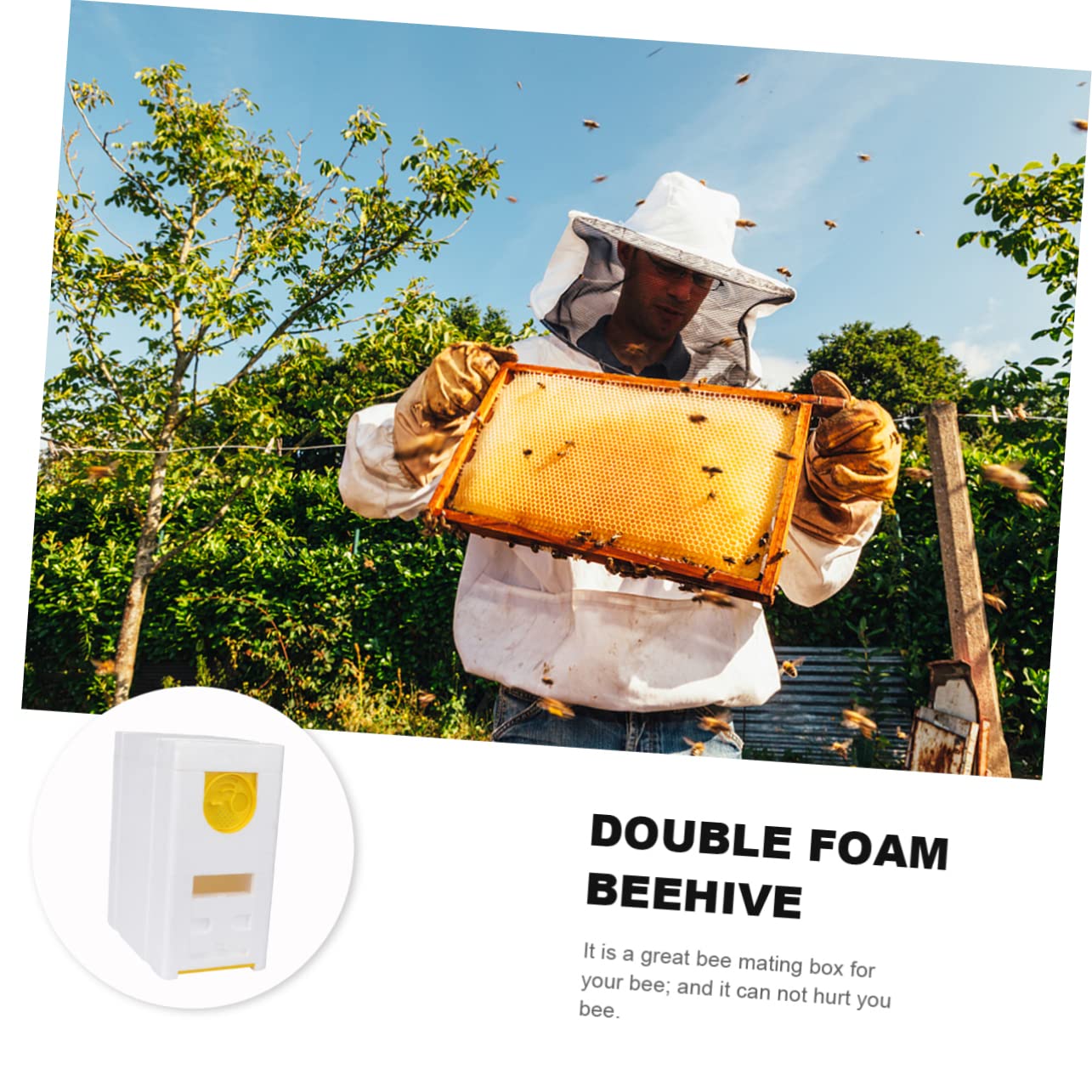 TOYANDONA Bienenwerkzeug Für Bienenzucht Bienenkasten Aus Sicherem Material Bienenbegattungskasten Zum Einfachen Gebrauch Bienenstockkasten Als Praktisches Zubehör Für Bienenzucht