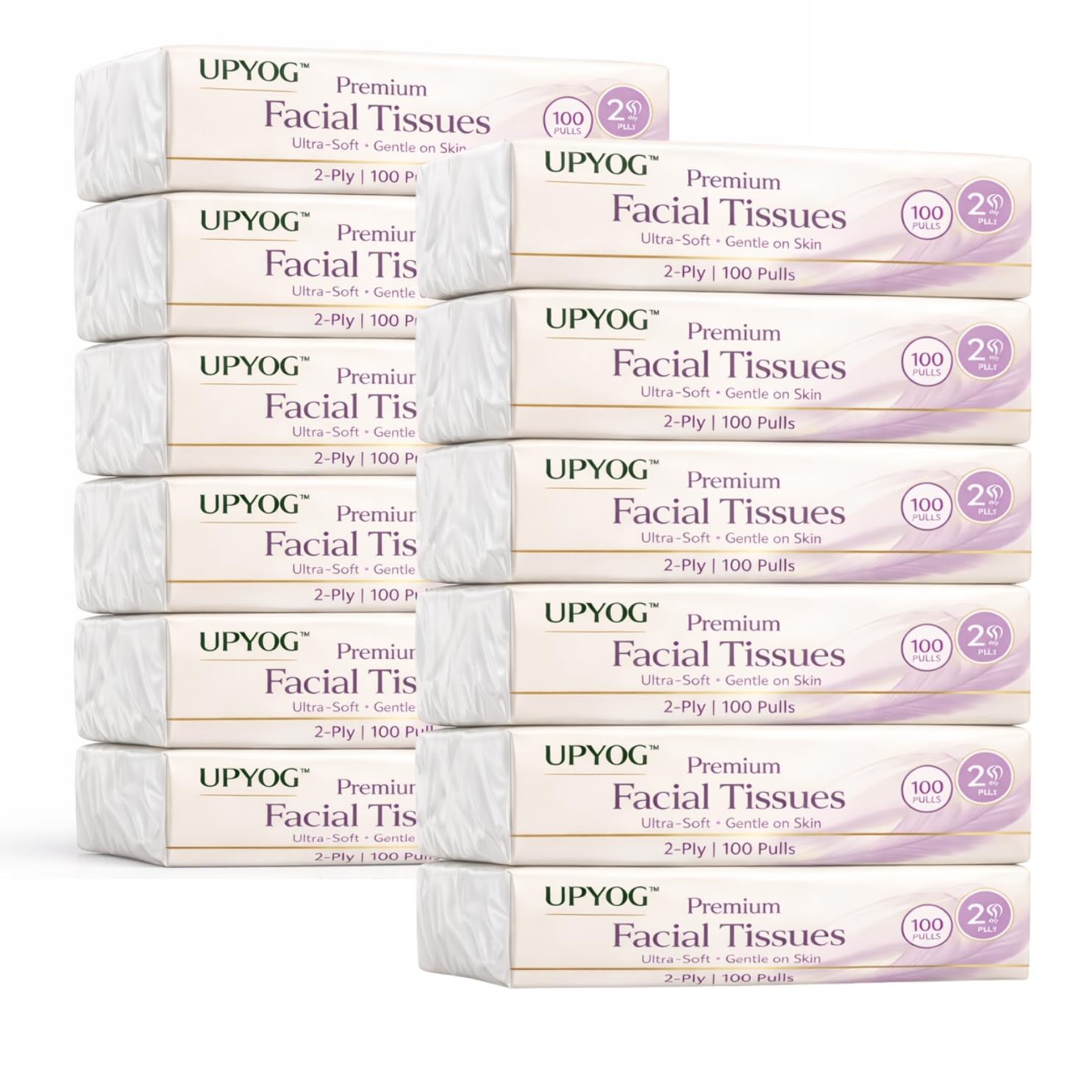 2-ply facial tissue box – soft pack | 100 pulls x 12 packs | extra soft & highly absorbent multipurpose face tissues (pack of 12)