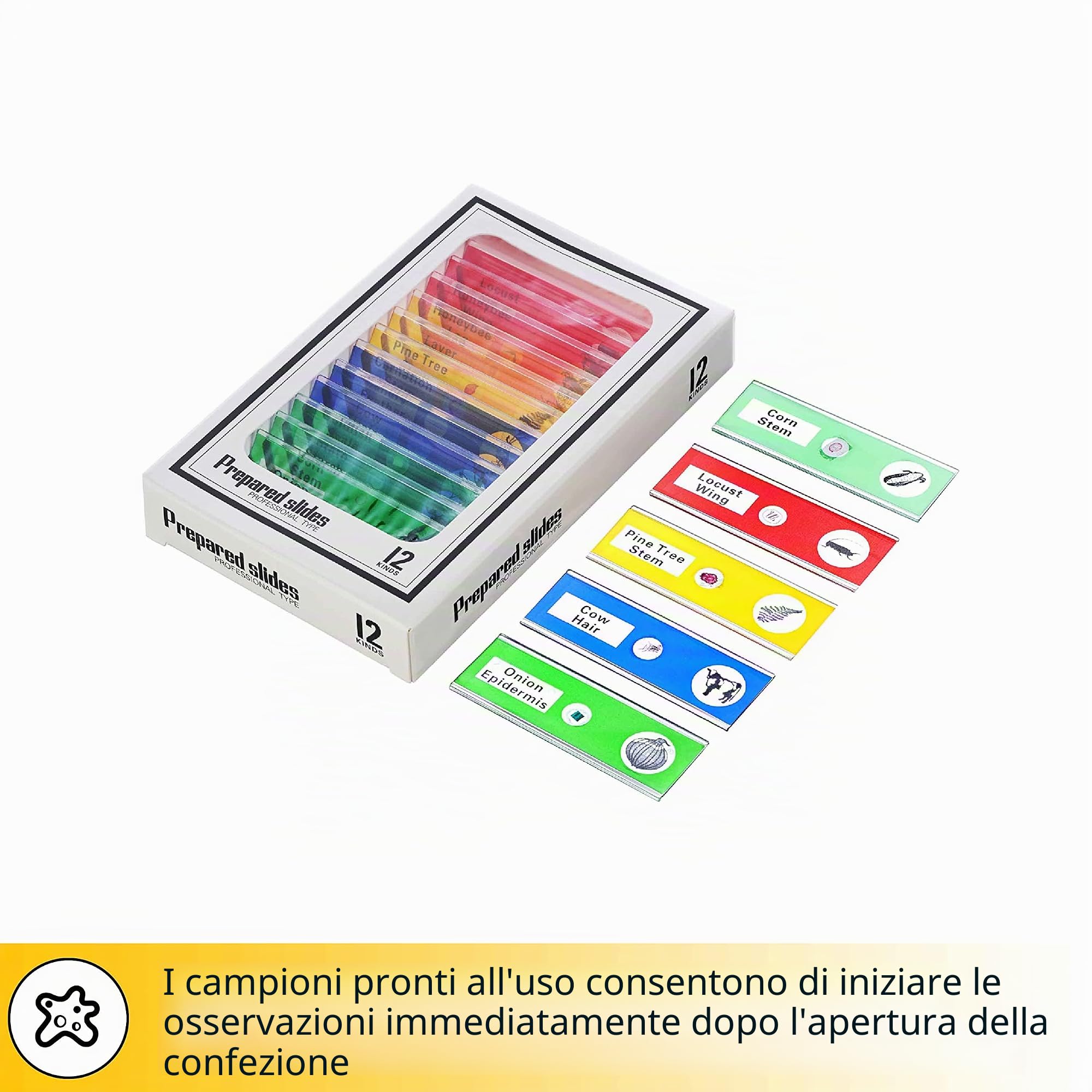 Levenhuk LabZZ DM200 Microscopio Digitale Portatile Per Ragazzi, Con Schermo LCD, Telecomando e Set Di Vetrini Preparati — Divertiti Con La Scienza