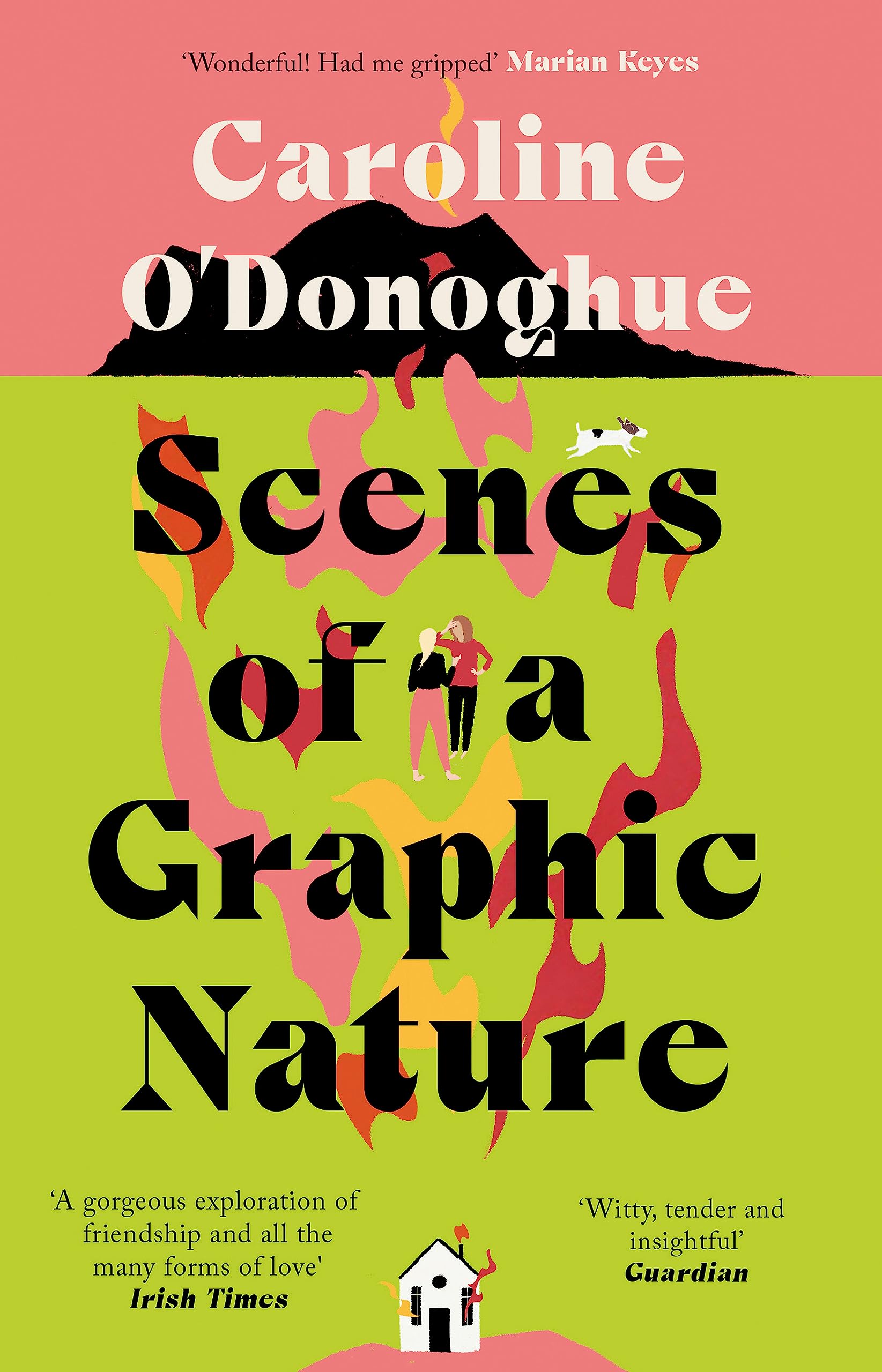 Scenes of a Graphic Nature New Book, O'Donoghue, Caroline, Paper