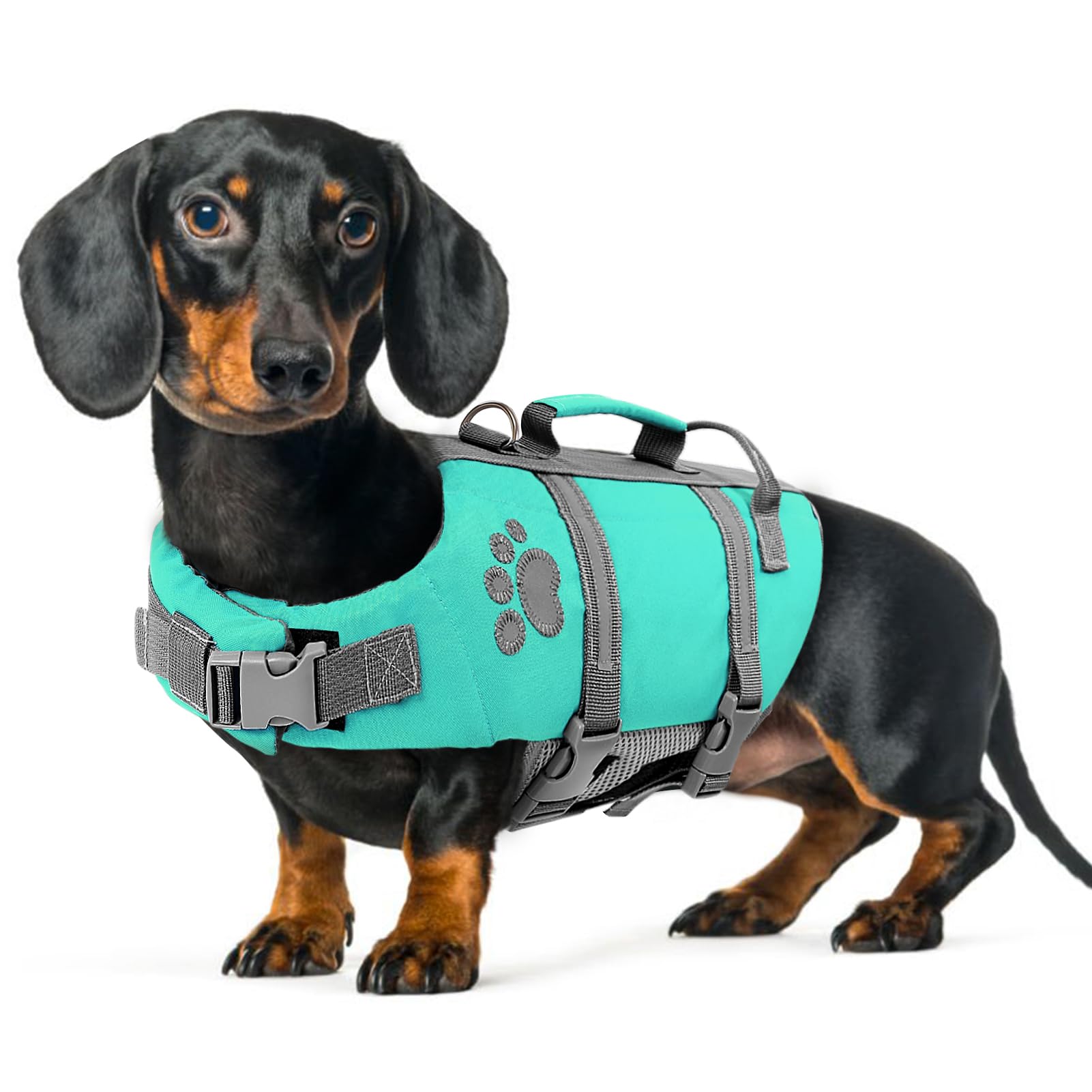 Queenmore Schwimmweste Hund Klein, Verstellbar Rettungsweste Hund, Reflektierende Hundeschwimmweste Mit Rettungsgriff, Hunde Schwimmweste Dackel Französische Bulldogge, Kajak Surfen, Türkis, S