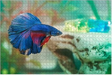 betta fish toys amazon