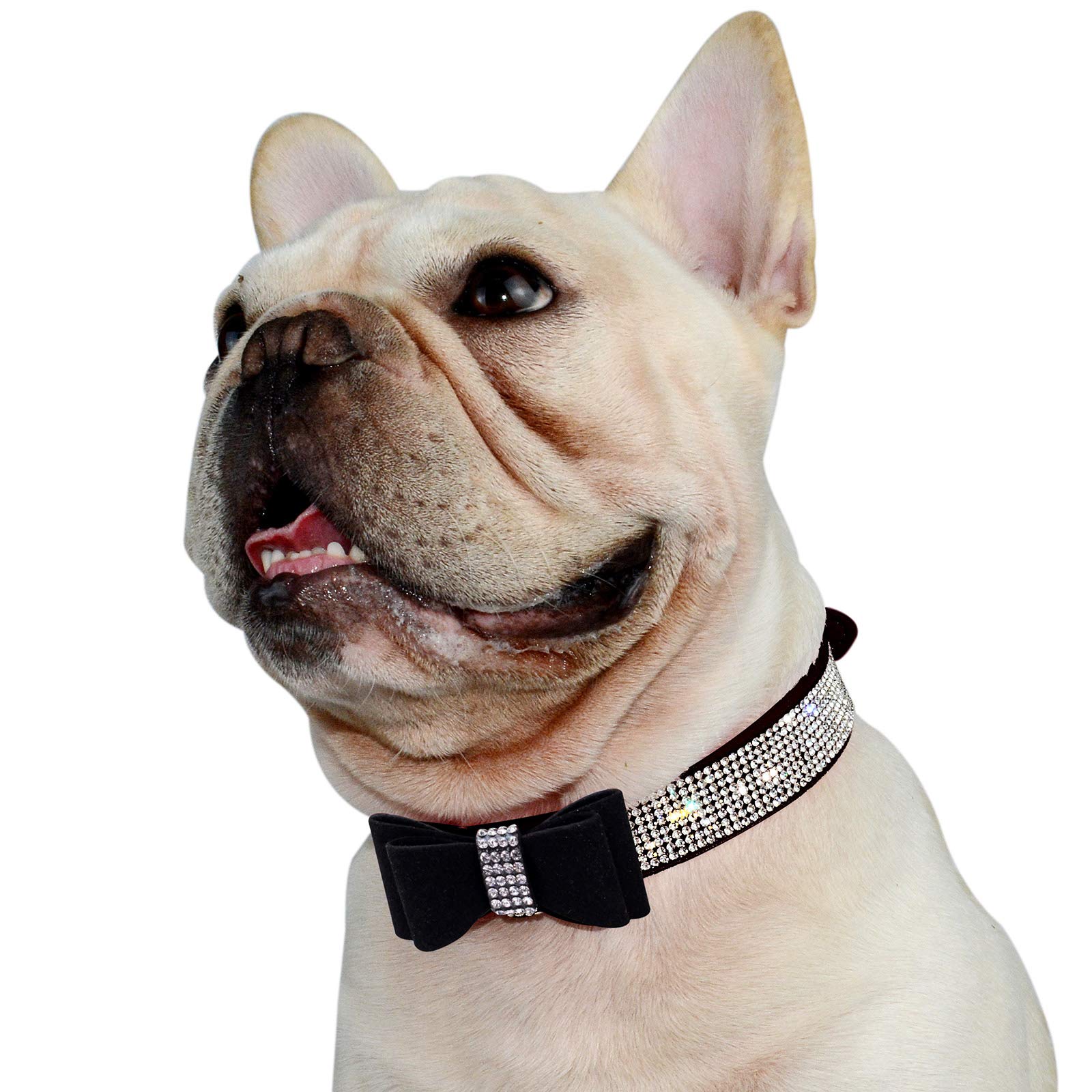 Hundehalsband Mit Strass & Schmetterling – Glitzerndes Veloursleder-Halsband Für Kleine & Mittlere Hunde, Größe L (ca. 37-45 Cm Halsumfang)