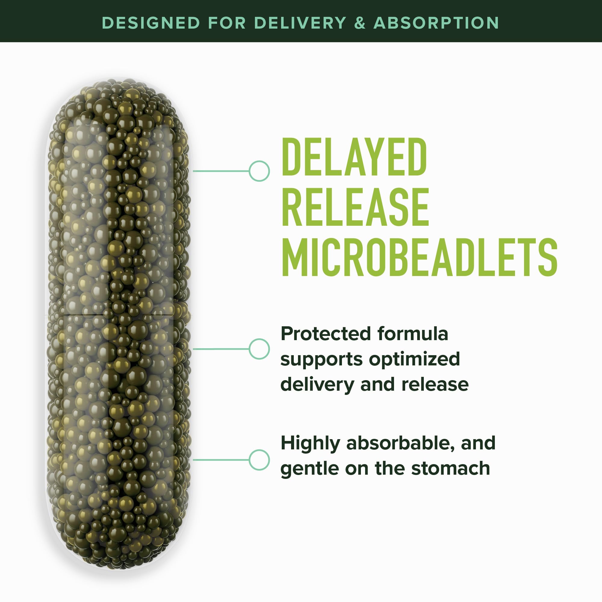 50MG Sulforaphane Supplement from Broccoli Sprouts | NRF2 Activation, Cellular Health & Immune Support | Glucoraphanin, Myrosinase & Antioxidants | Third-Party Tested | 60 Broccoli Seed Microbeadlets