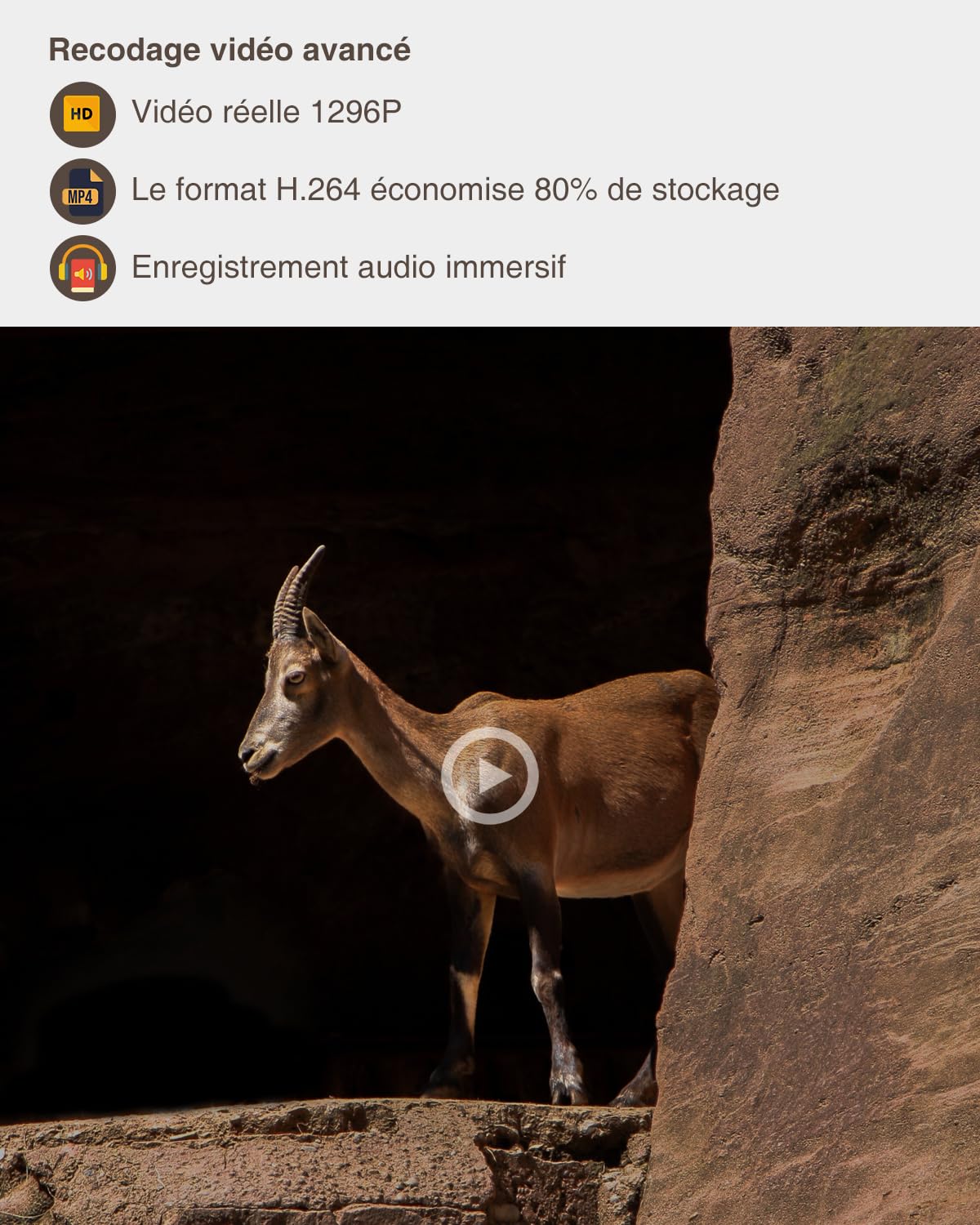 GardePro A5 Camera de Chasse Nocturne, 64MP 1296P H.264 Vidéo, Infrarouge Vision Nocturne Animaux Piege Photographique, No Glow Caméra de Chasse Suiveuse Exterieur Étanche, IP66