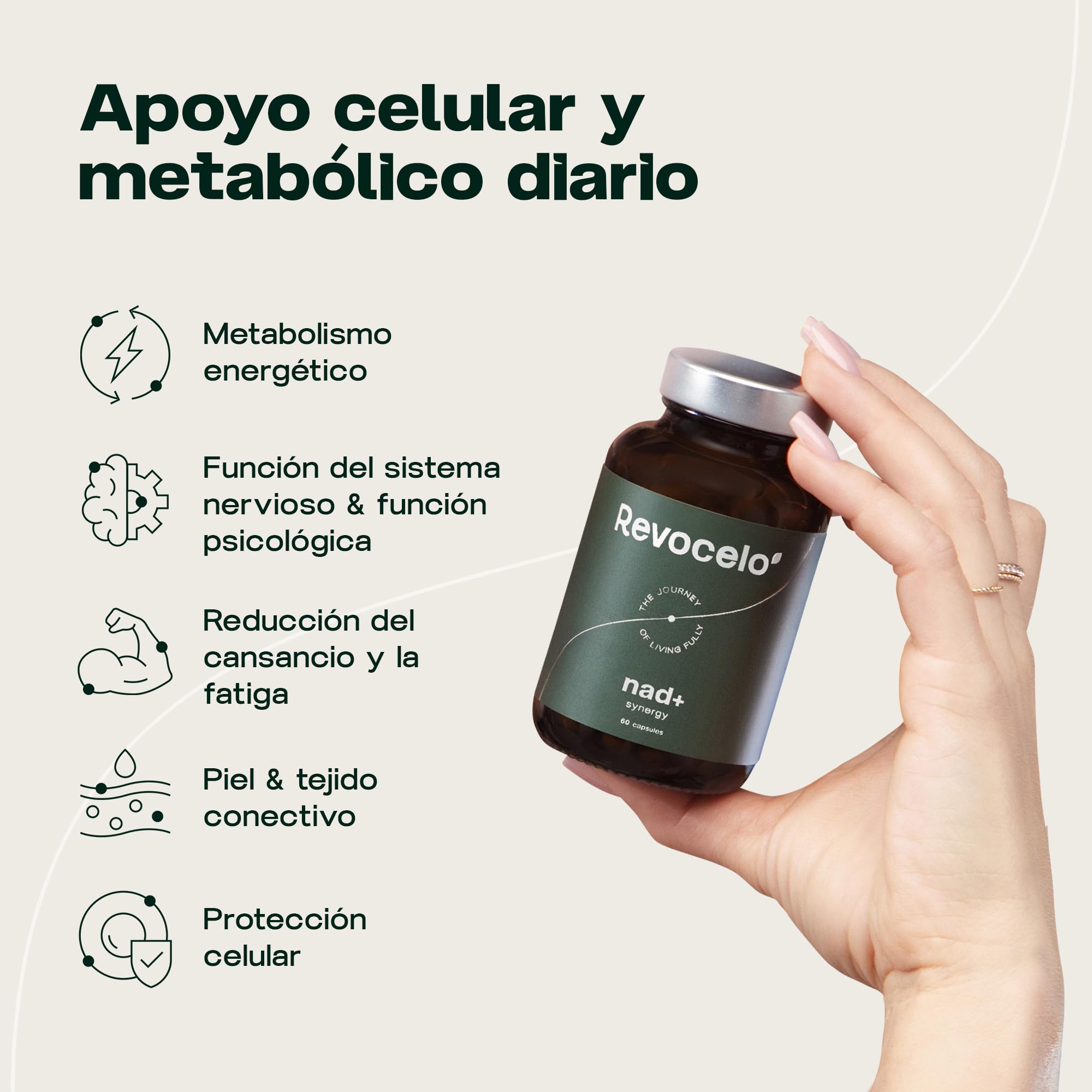 NAD+ Synergy – Envejecimiento saludable y energía celular | 400 mg de activos con NR, apigenina liposomal, TMG y vitamina C, formato 2 meses, EU