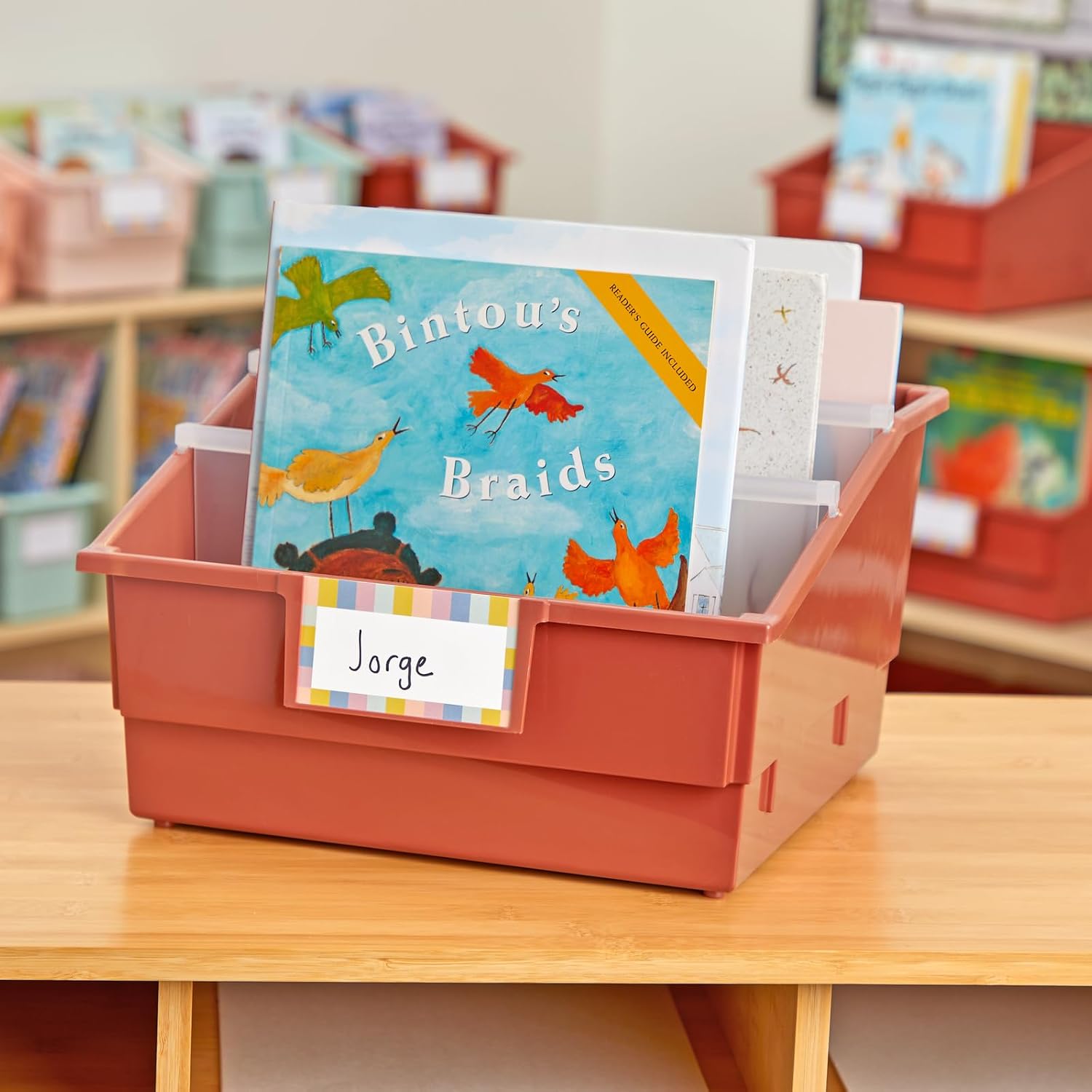 Really Good Stuff Picture Book Classroom Library Bins with Dividers - 6 Pack - Clay