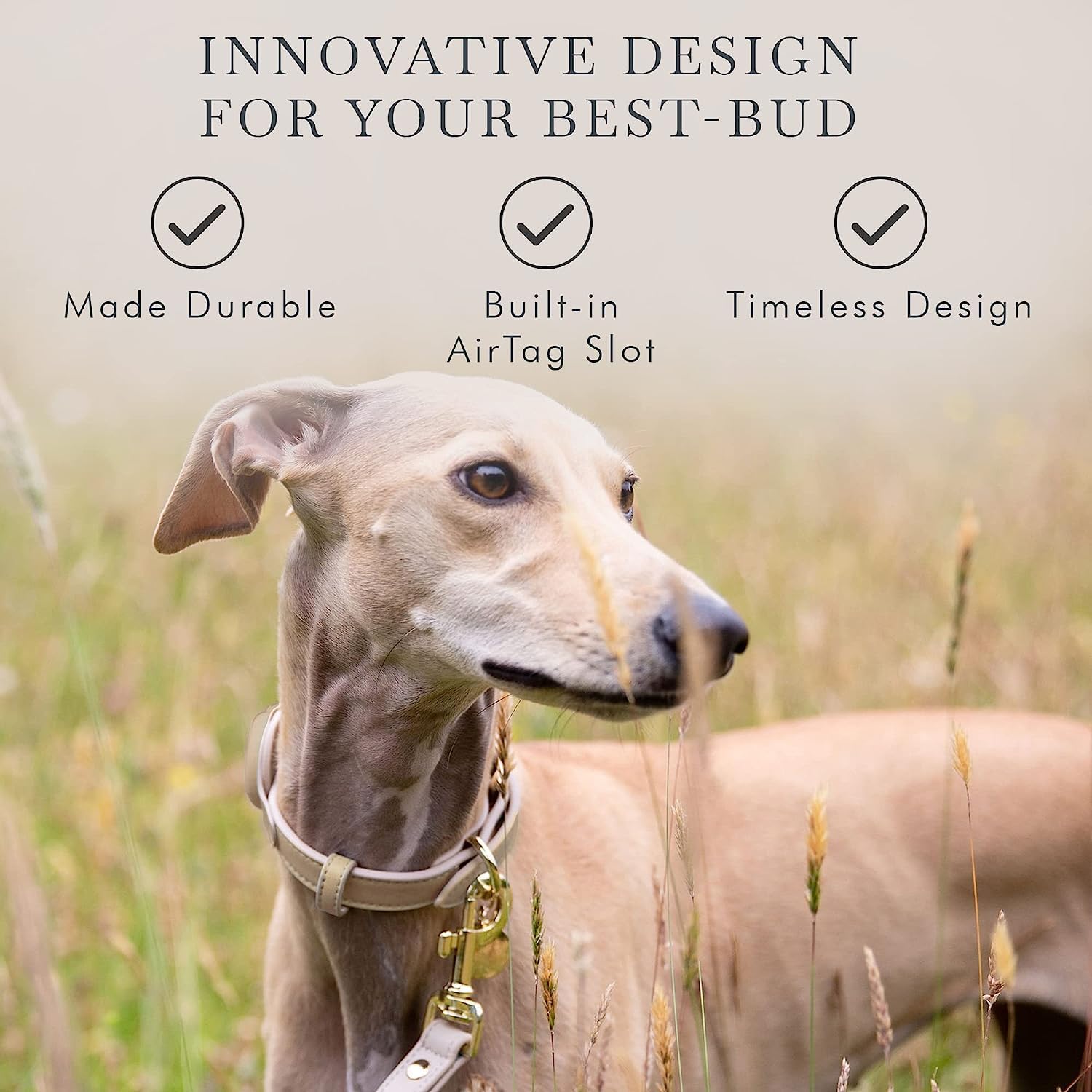 NINA WOOF - Cupertino Collare per Cani Compatibile con Airtag 2021, Regolabile, Pettorine e Guinzagli in Pelle Vegana con Localizzatore per Cani (Media (Collo: 15x19"))