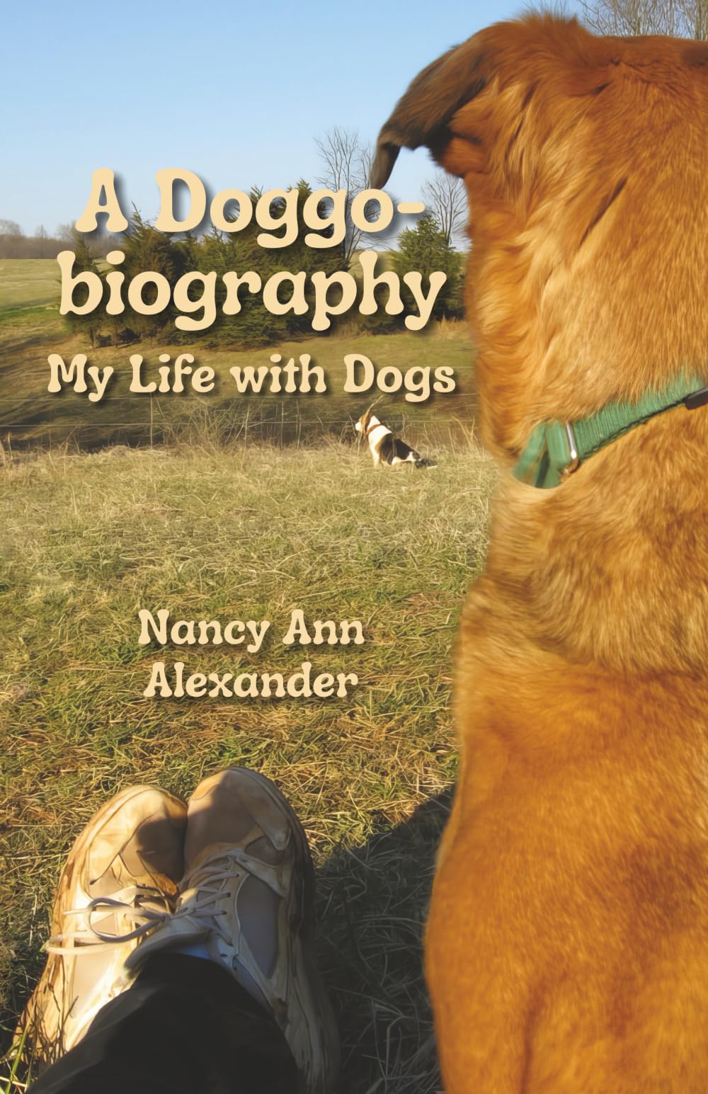 A Doggo-biography: My Life with Dogs