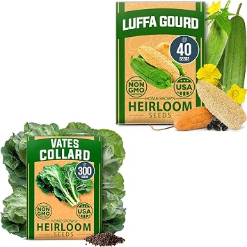 HOME GROWN Luffa & Collard Greens Seeds 340+ USA-Sourced Heirloom Vegetable & Gourd Seeds | High Germination Non-GMO | Grow Natural Sponges & Nutritious Leafy Greens