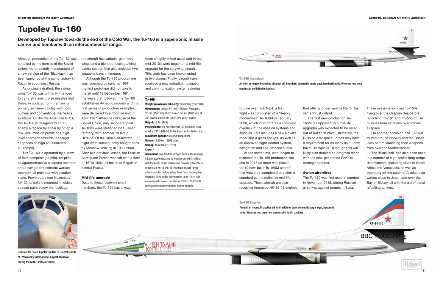 Modern Russian Military Aircraft: Fighters, Bombers, Reconnaissance, Helicopters (Technical Guides)