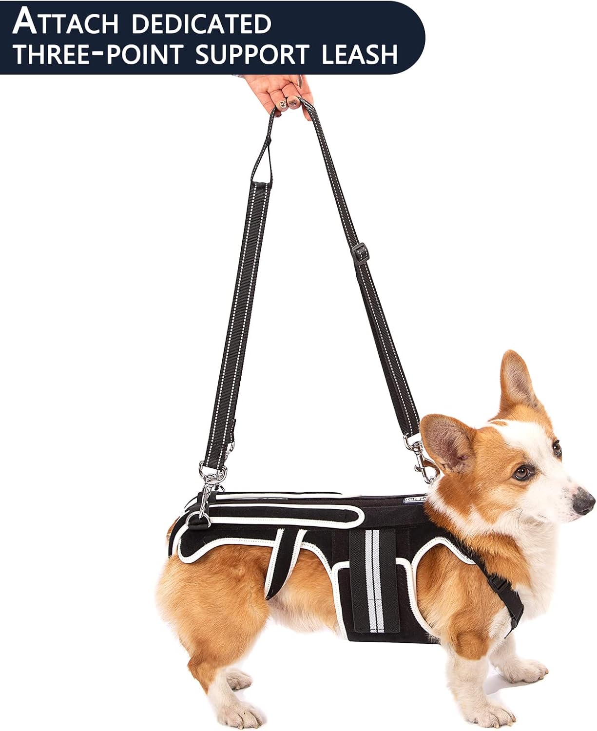 Back Brace for Dogs with IVDD, Arthritis, Luxating Patella, Surgical Recovery and Rehabilitation, Dachshund Back Pain Relief, IVDD Harness(Medium)