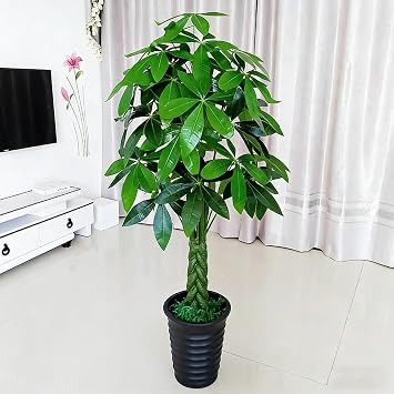 Faux Money Tree, Realistic Pachira Aquatica Artificial Plants, Indoor Fake Tree with Decorative Pot for Home Office Garden Decor160cm/5.2ft