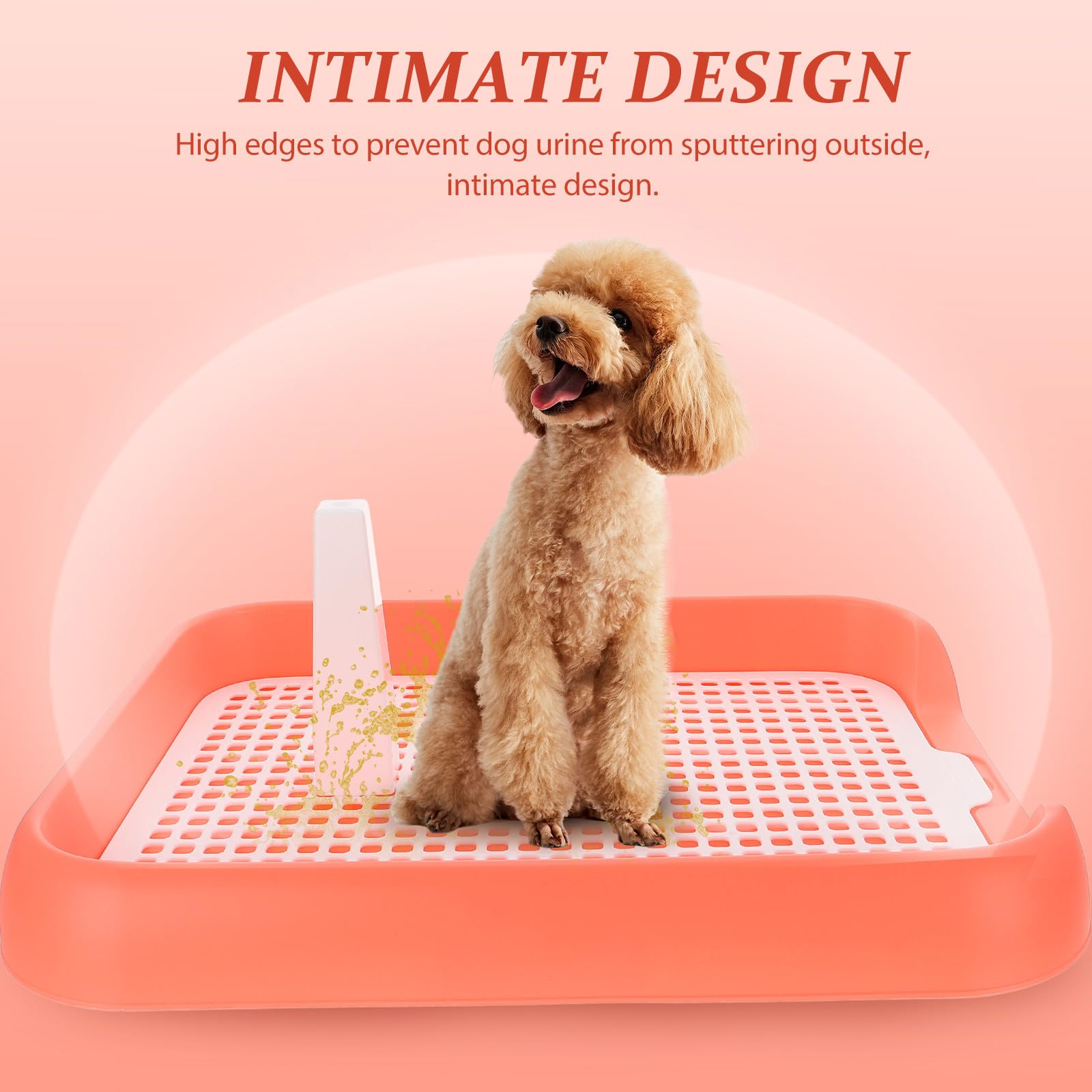 Ciieeo Toilette per Cani da Interno in Pp Leggero e Portatile Superficie Antiscivolo, Come Tappetino Igienico per Cuccioli e Addestramento Domestico
